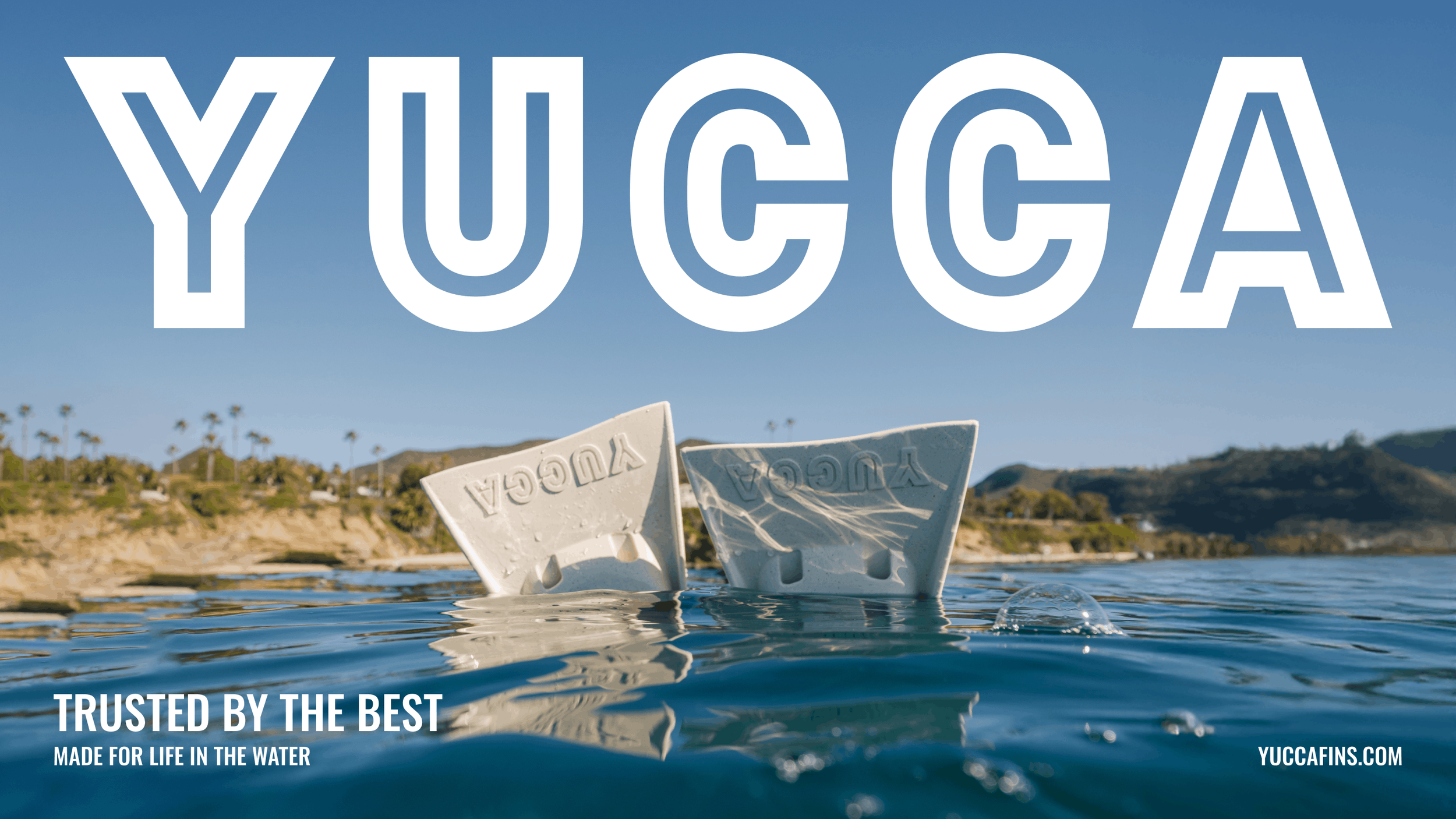 Yucca - Studio Massenzio - 1 COVER.png