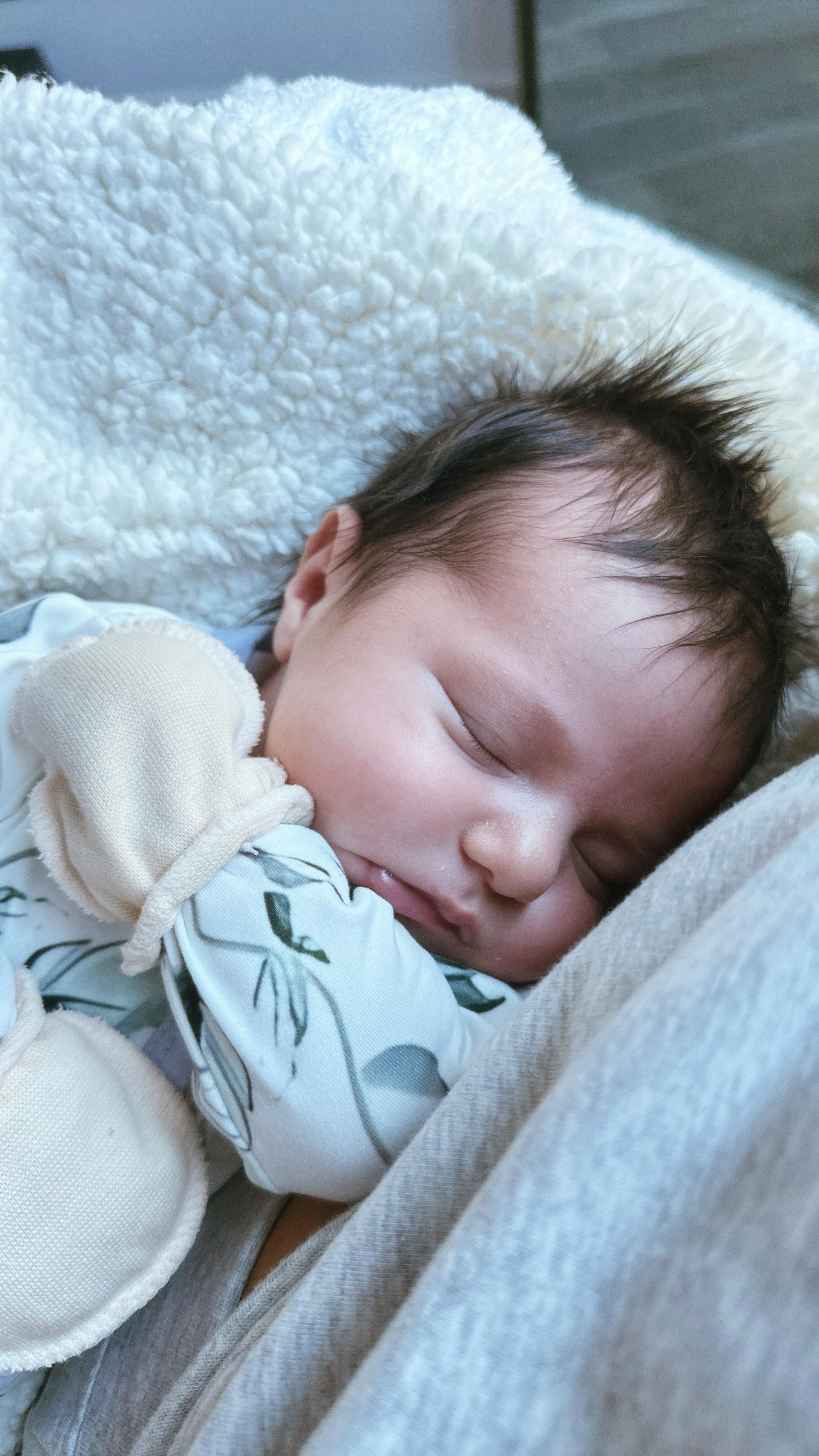 family — april pollock
