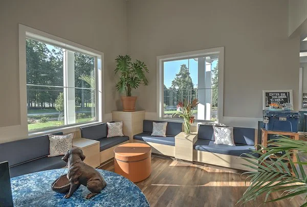 Aloha Veterinary - Lobby