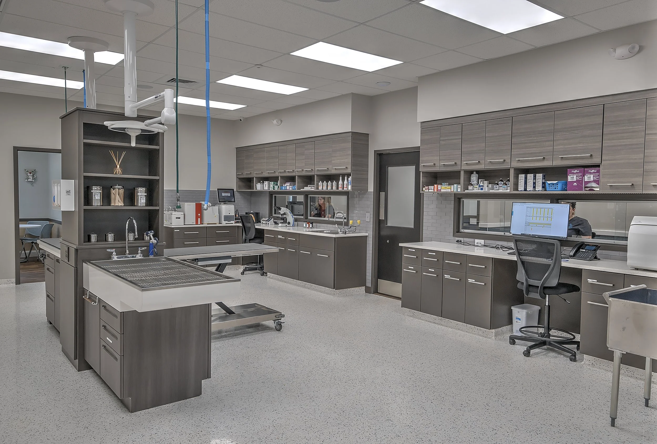 Aloha Veterinary - Treatment Area