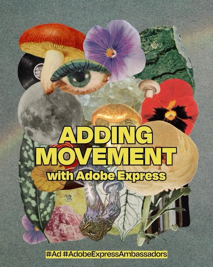 I love layering images, and wanted to see what it would look like if I layered ANIMATION. 🍂 So I made a fall themed collage in @Photoshop, and brought it into @AdobeExpress to add some movement. #ad 

Hot tip! Importing a .PSD into Adobe Express sav