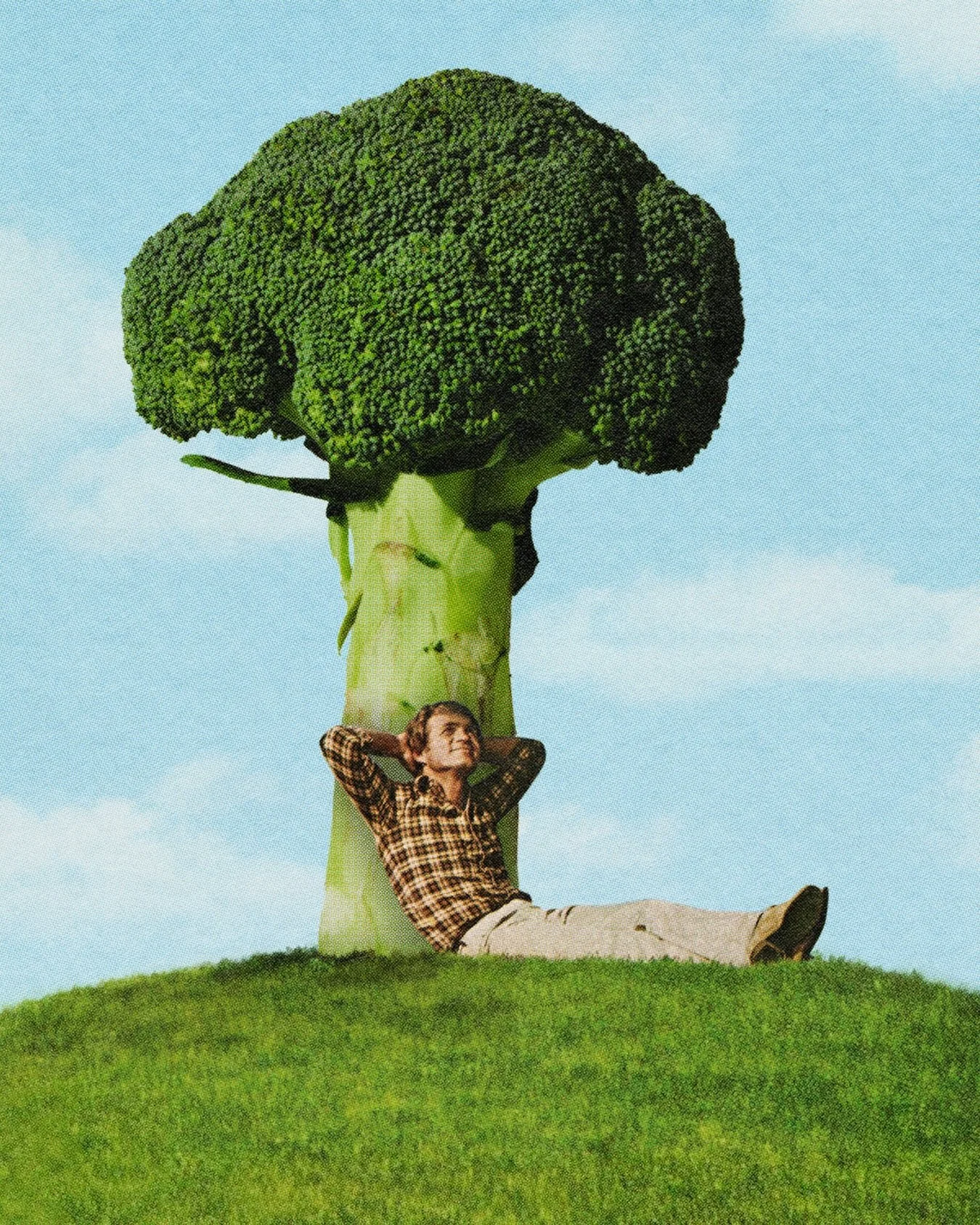 Februllage Day 4: Broccoli 🥦 

Digital collage made in Photoshop. 

| #februllage2026 #collage #Photoshop #art @februllage