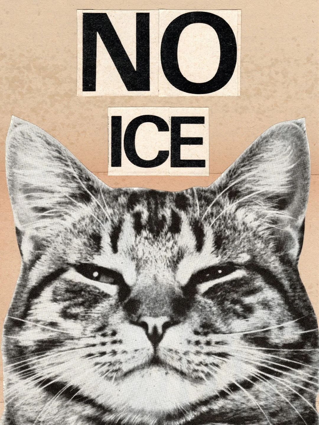 😾NO ICE🪧

Hand cut collage on 4&rdquo; x 6&rdquo; collage board for the Small Paws Mini Protest Sign show at @coolcatcollectivelbc, curated by Katie from @beautificationsolutions. 💛 On view through the end of the month. 

| #ProtestArt #collage #a