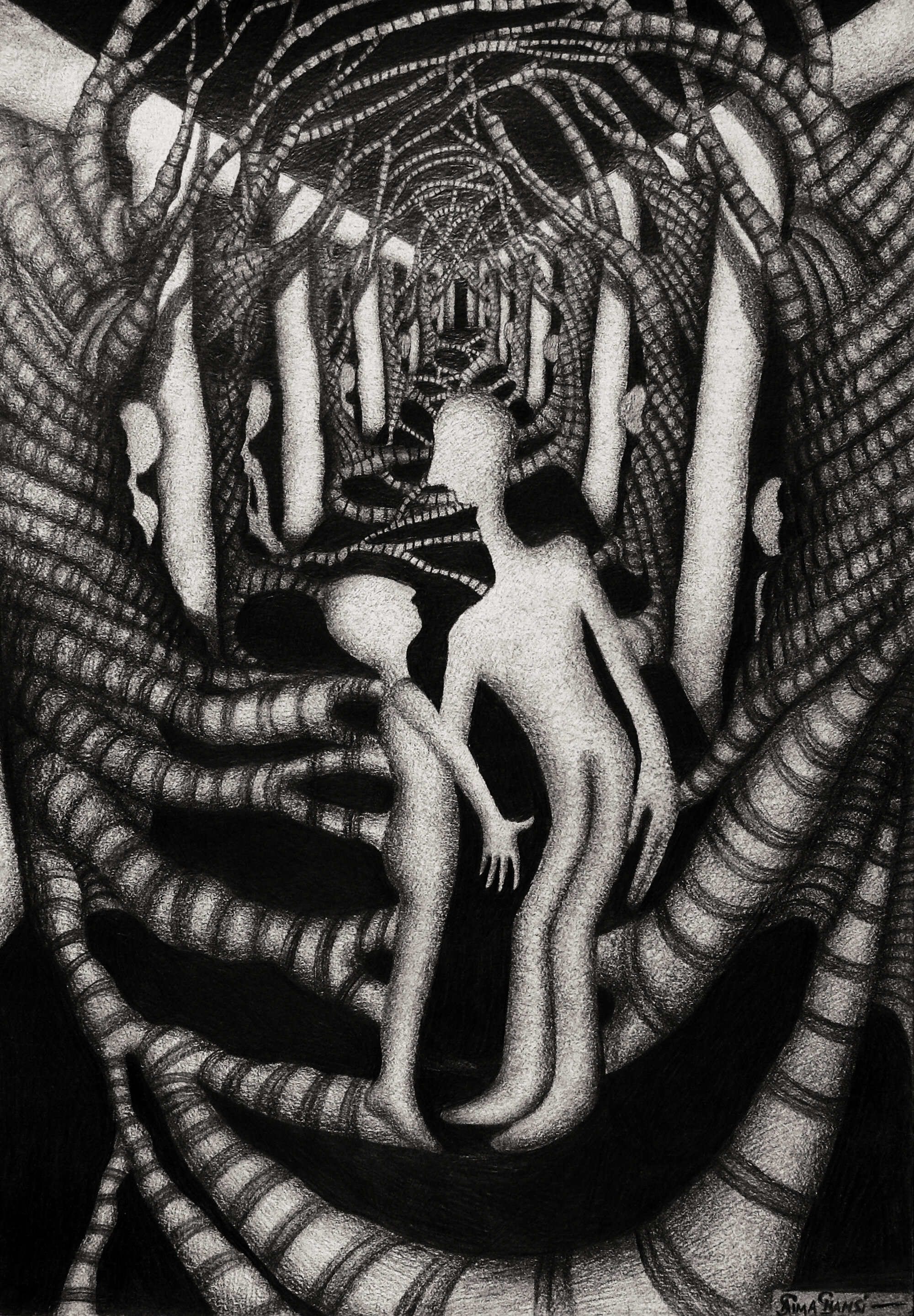 "The Enchantment." 8.5 x 12. Graphite. By Saima Shamsi