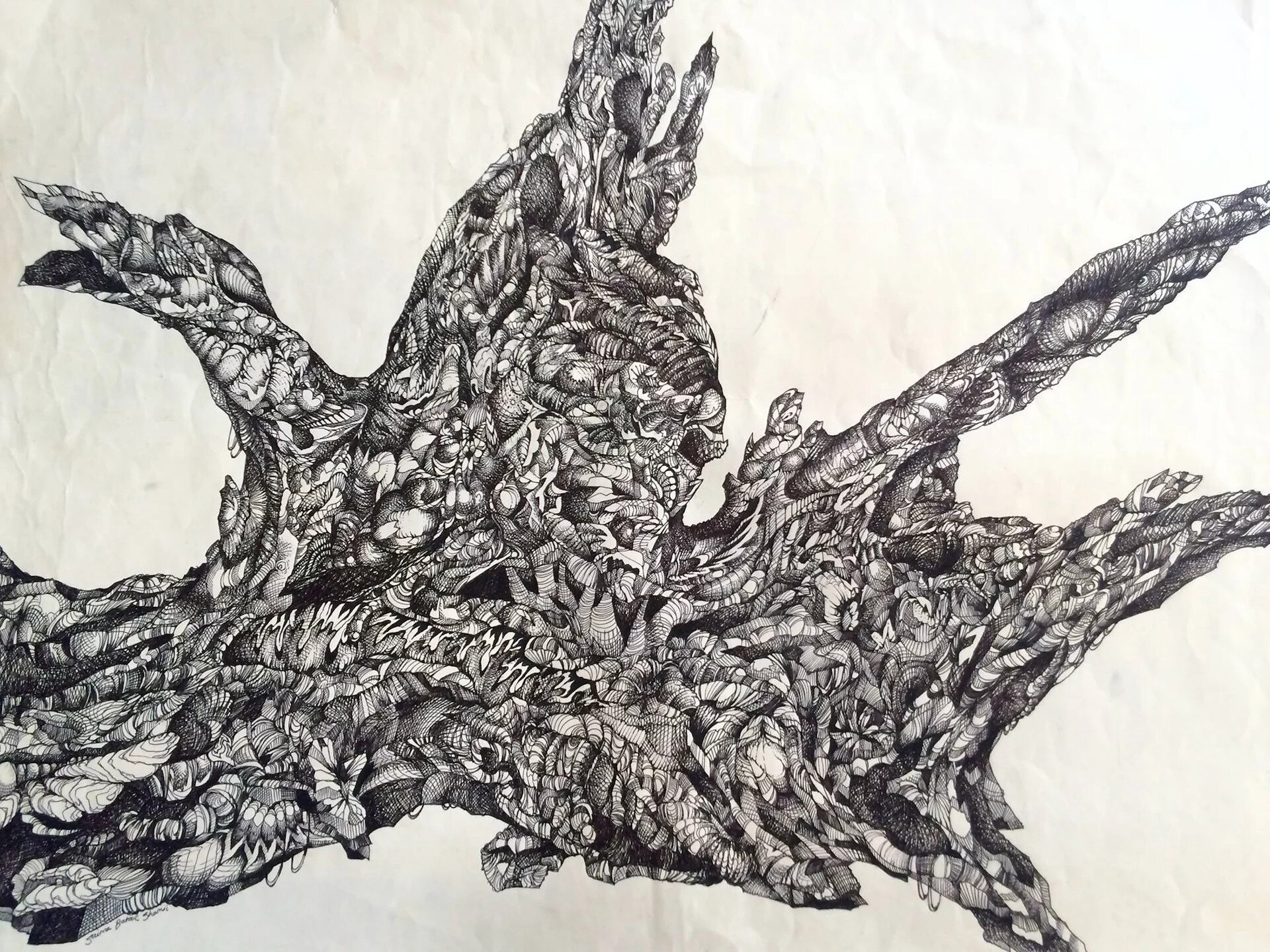 "Driftwood." 17.5 x 23. Pen & Ink. By Saima Shamsi