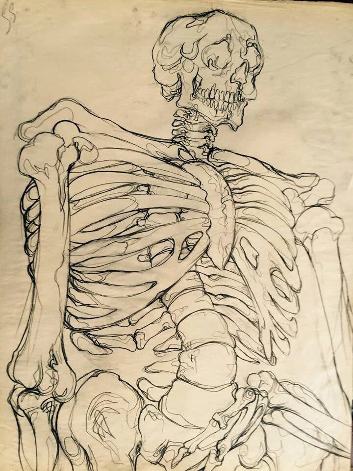 "Skeleton." 18 x 24. Charcoal. By Saima Shamsi