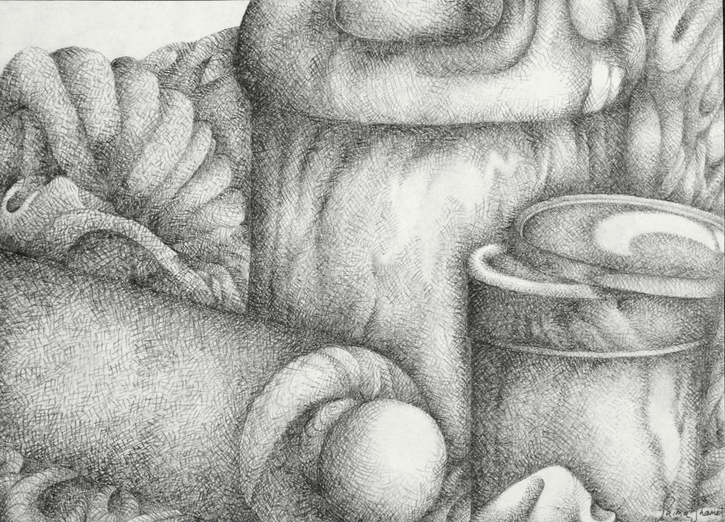 "Still Life II." Graphite. By Saima Shamsi