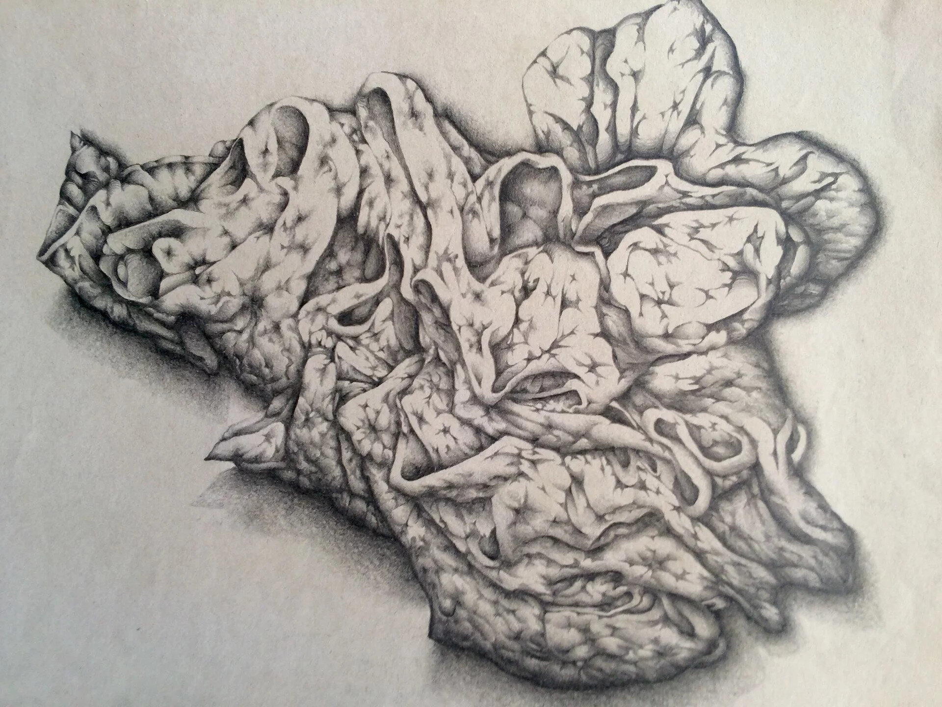 "Study of Fabric II." 12 x 17. Graphite. By Saima Shamsi