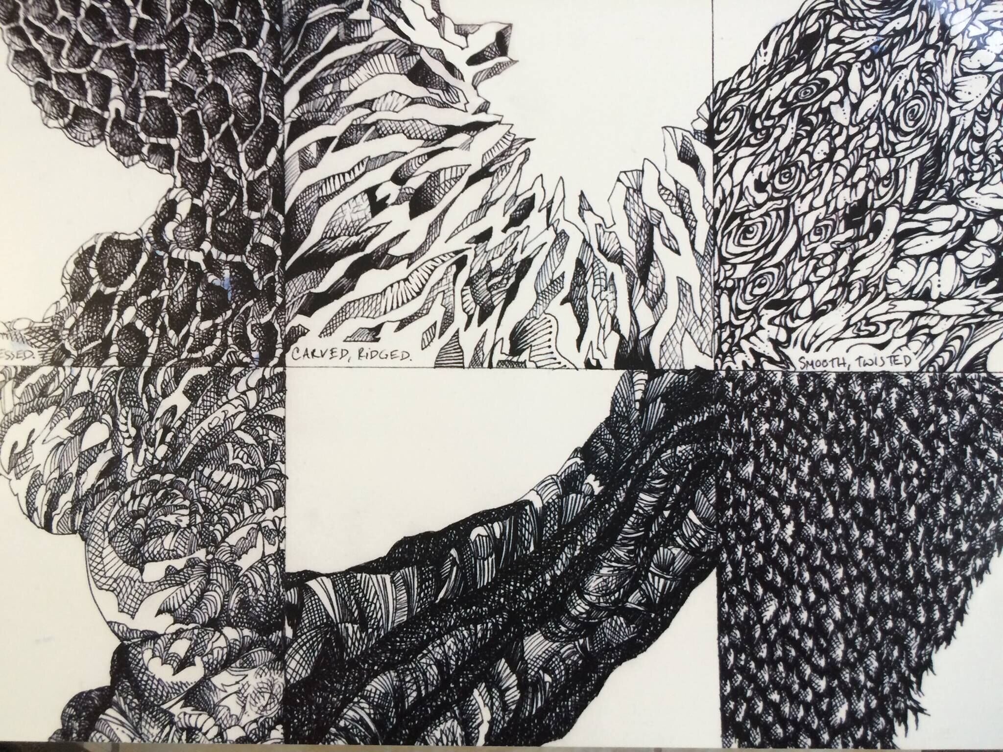 "Study of Textures." 9 x 14. Pen & Ink. By Saima Shamsi