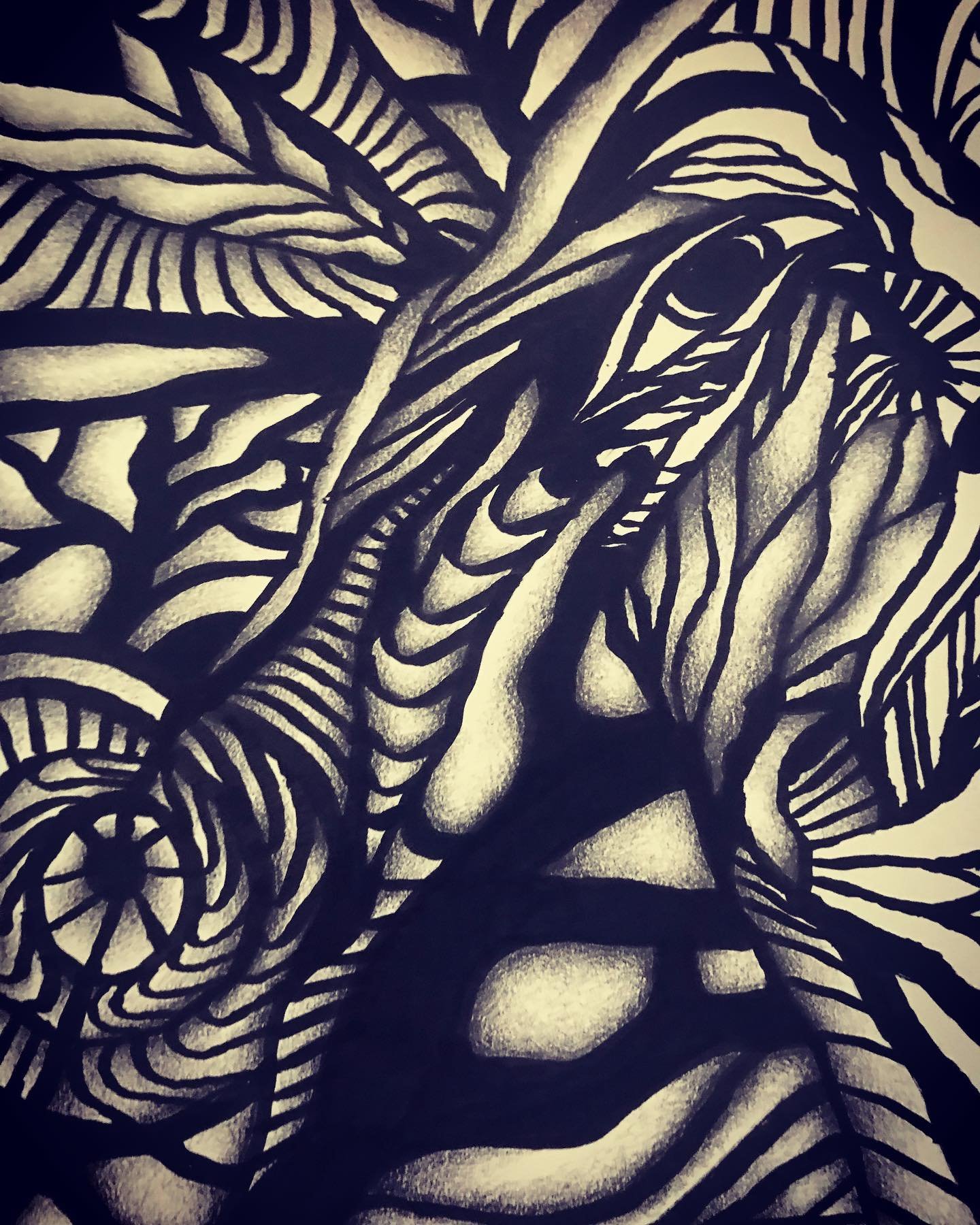 Detail of “The Fabric of Time.” a Self-Portrait in India Ink and Graphite by Saima Shamsi