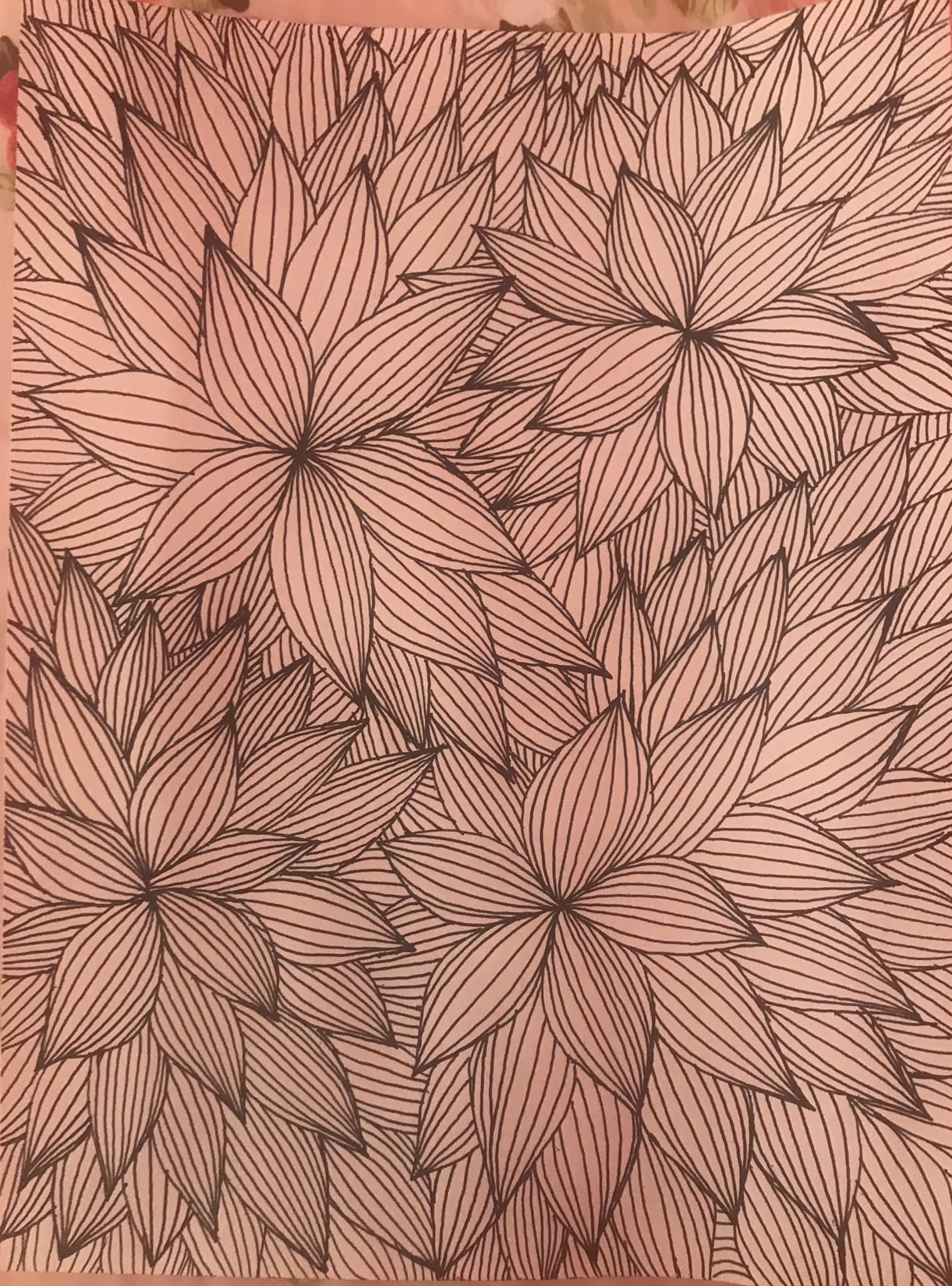 "Petals" a drawing in pen & ink by Saima Shamsi