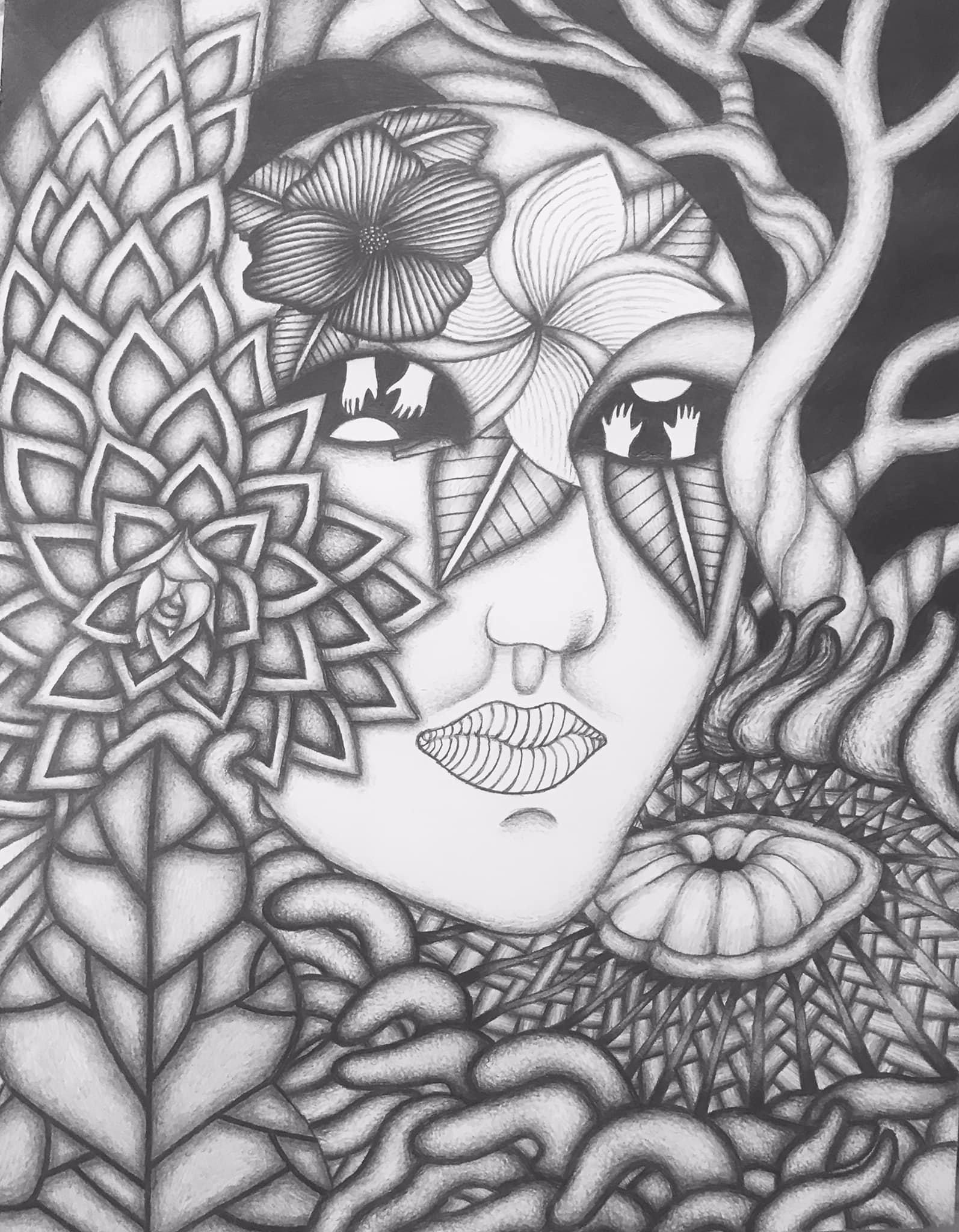 "The Shape of my Face" a drawing in graphite by Saima Shamsi