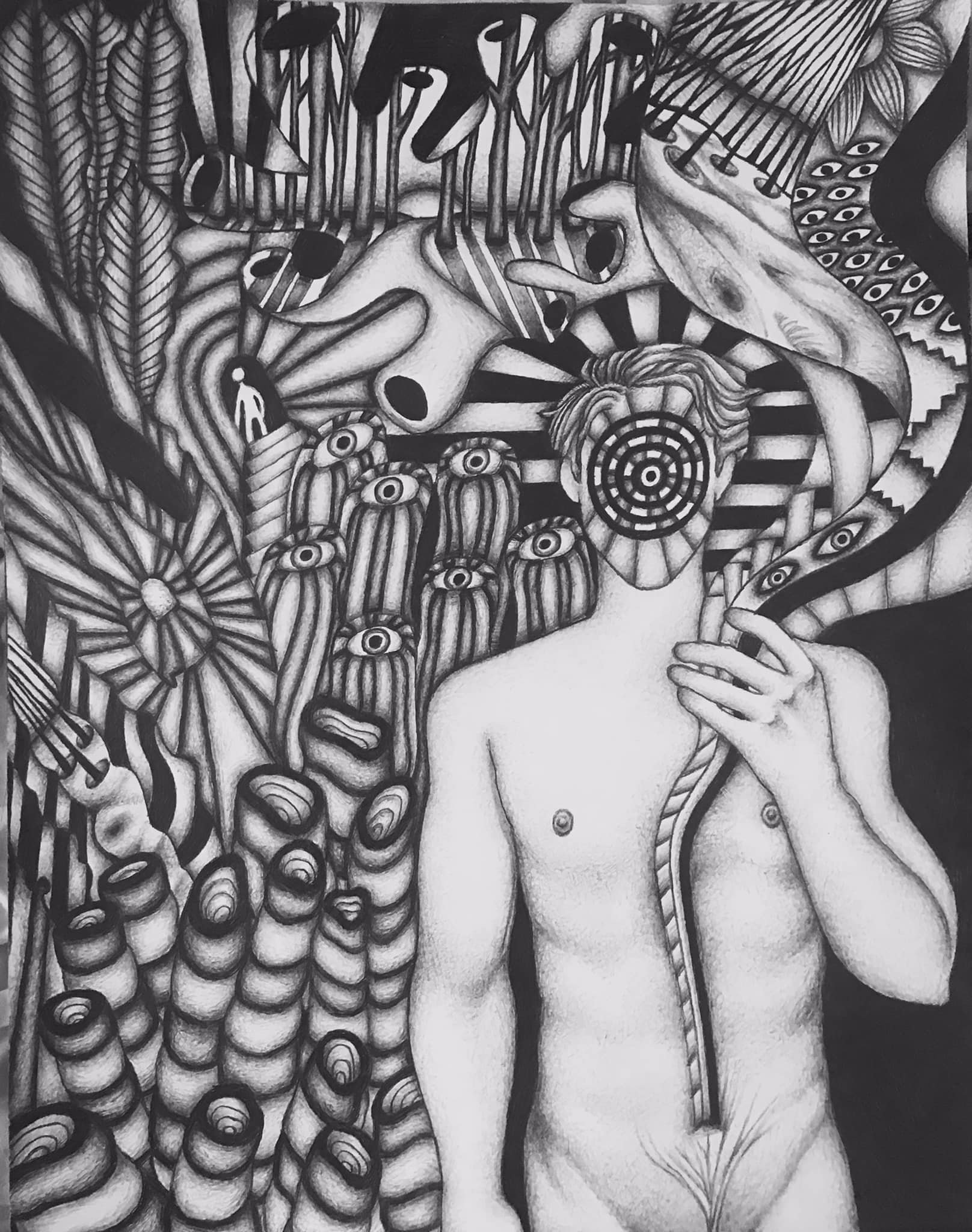 “From the ether, with underwater plants” a drawing in graphite by Saima Shamsi