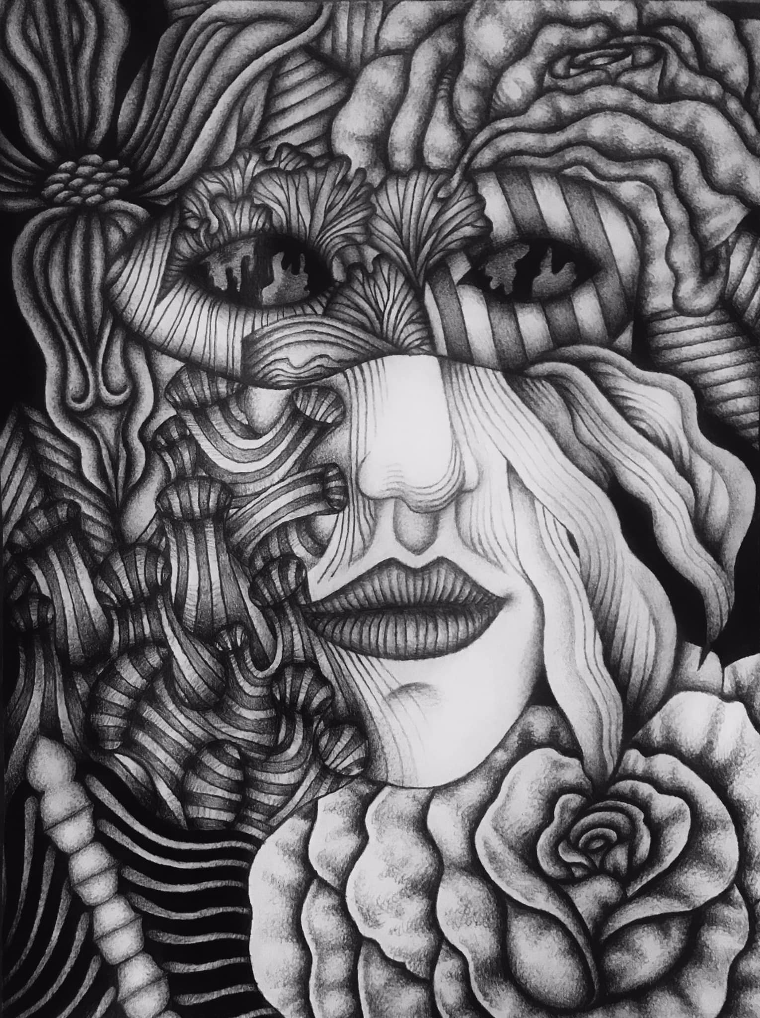 "When the night lowers its wings" a drawing in graphite by Saima Shamsi