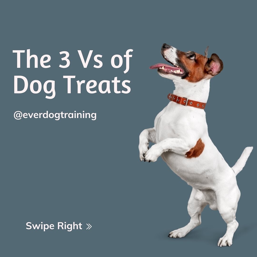 Here are some things to consider when choosing training treats for your dog. 

One thing we love for variety is choosing local, independent pet stores to buy treats from. Local selections tend to vary from shop to shop and it's a great way to support