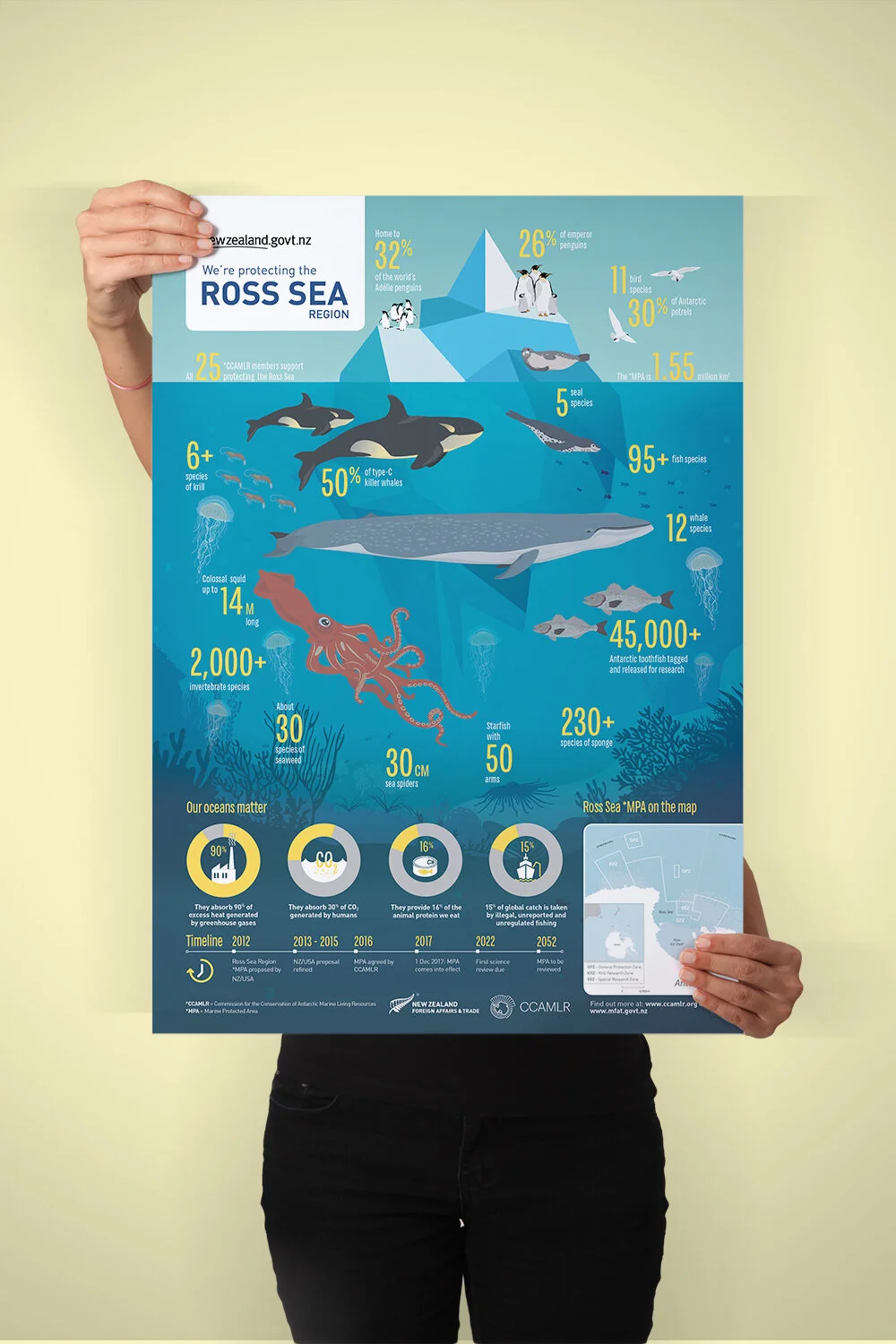 INFOGRAPHIC POSTER