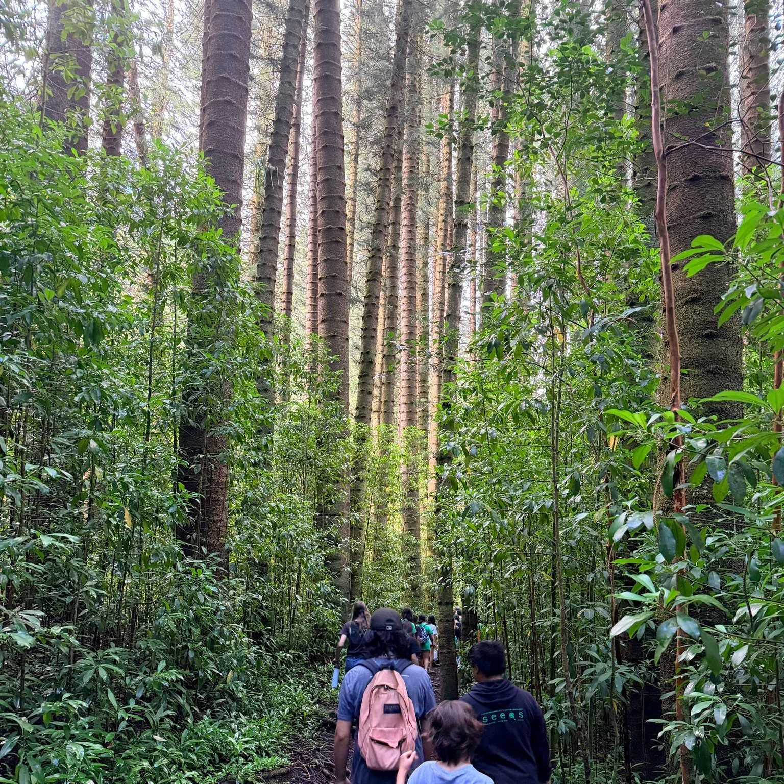 ⏰ Just one week until our SEEQS Open House Info Session!
Come meet our teachers, explore our hands-on learning model, and see how we&rsquo;re growing the next generation of sustainability leaders. 🌿

📅 Monday, Nov. 24 | 5:00 PM
📍 SEEQS Campus
💚 R