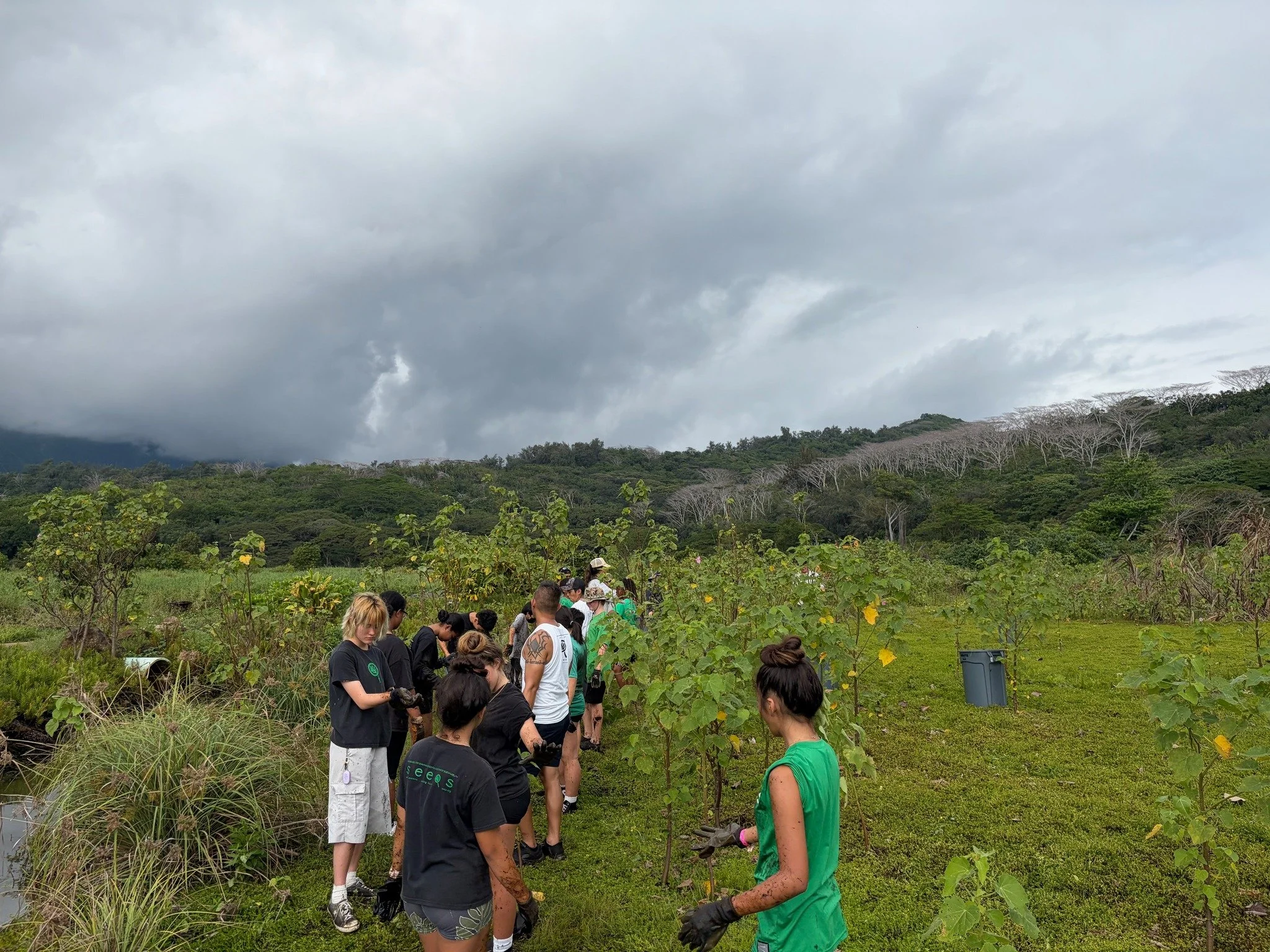 🌎🌿 Sustainability Starts in Middle School 🌿🌎

What if a middle school helped students become stewards of planet Earth &mdash; not someday, but now?

At SEEQS, sustainability isn&rsquo;t a unit. It&rsquo;s the foundation of leadership.

Our studen