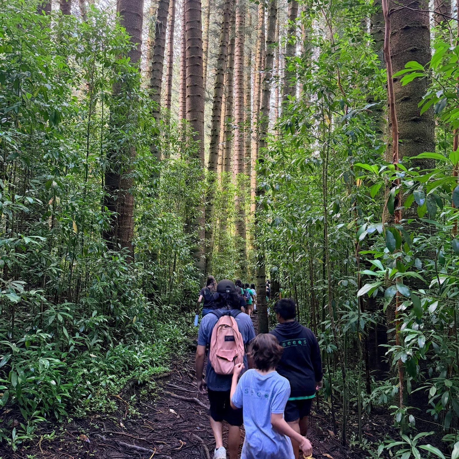 🌿✨ TONIGHT 2/19: SEEQS Open House ✨🌿

At SEEQS, our mission is to prepare students to be stewards of planet Earth and healthy, effective citizens of the world.

Through Essential Questions of Sustainability, students learn by doing &mdash; connecti