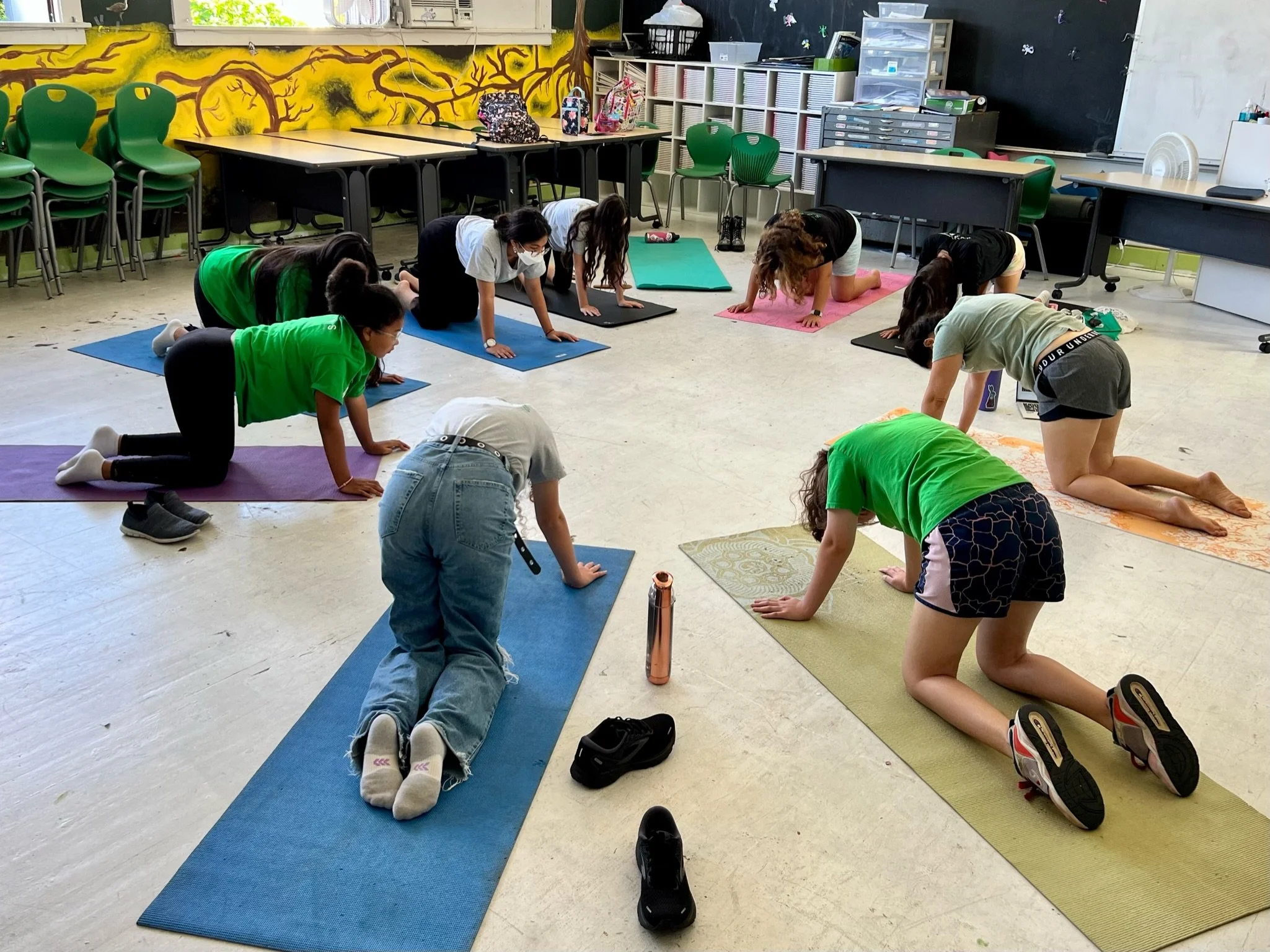 Physical Activity — SEEQS