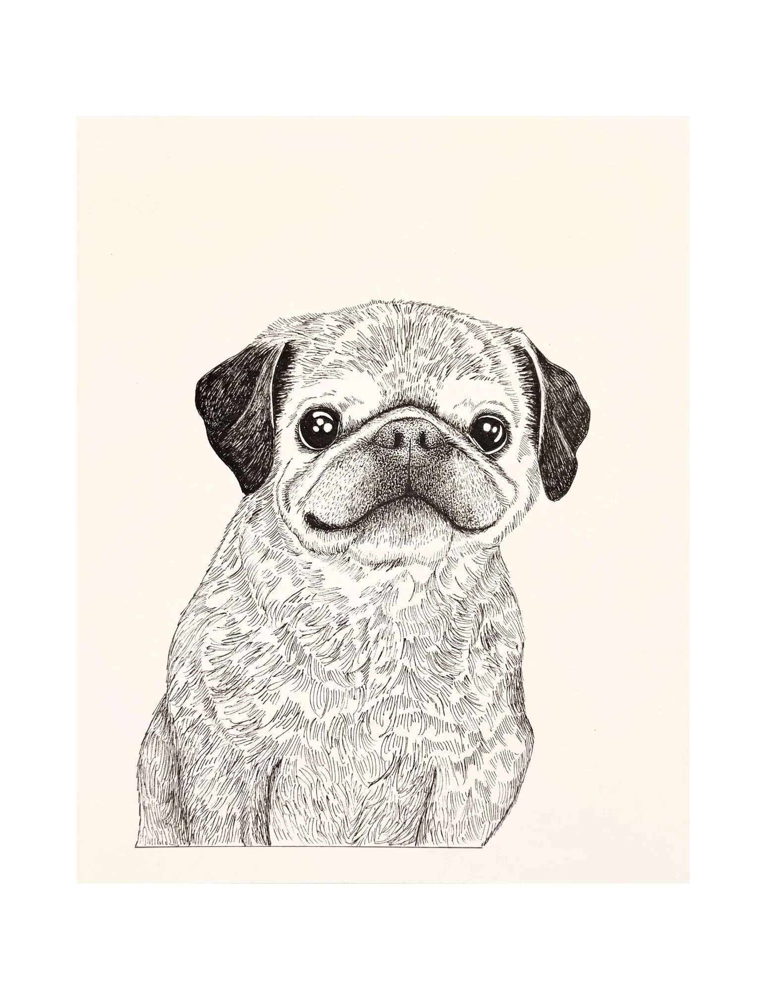 Wu puggy.jpg