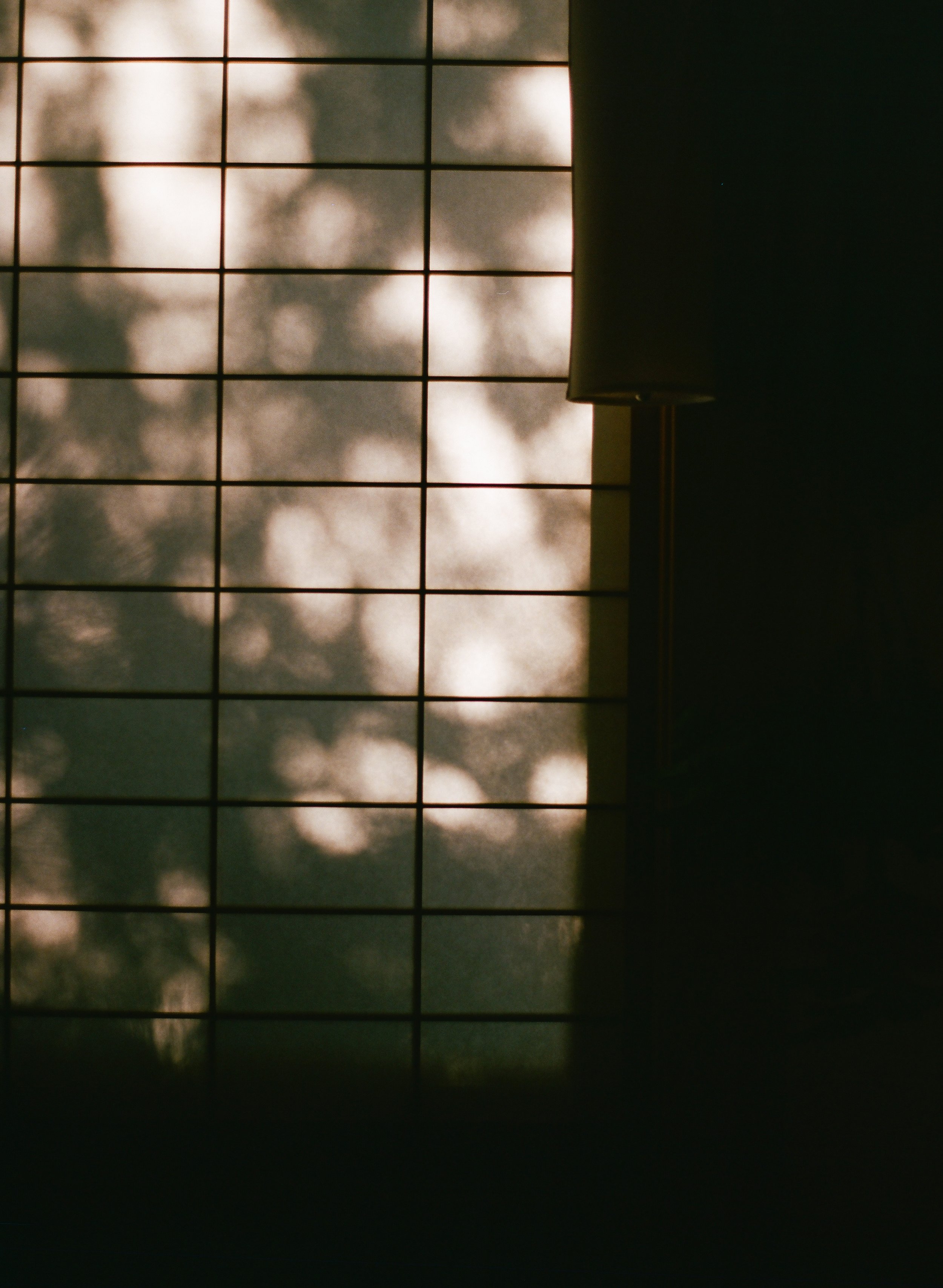 BEO–11.19.25_WWT_Film_5.jpg