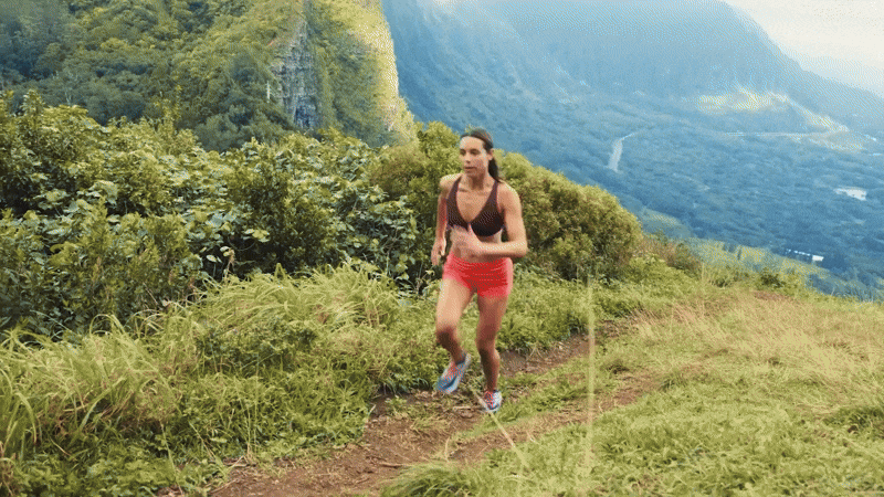 Digital Rebrand Rollout "Find Your Wild"