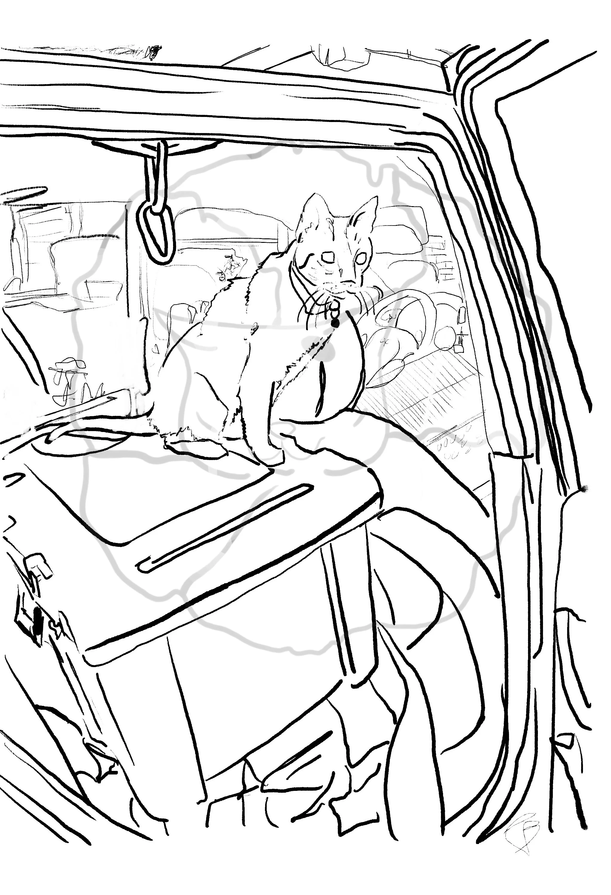 Adventure Cat - digital