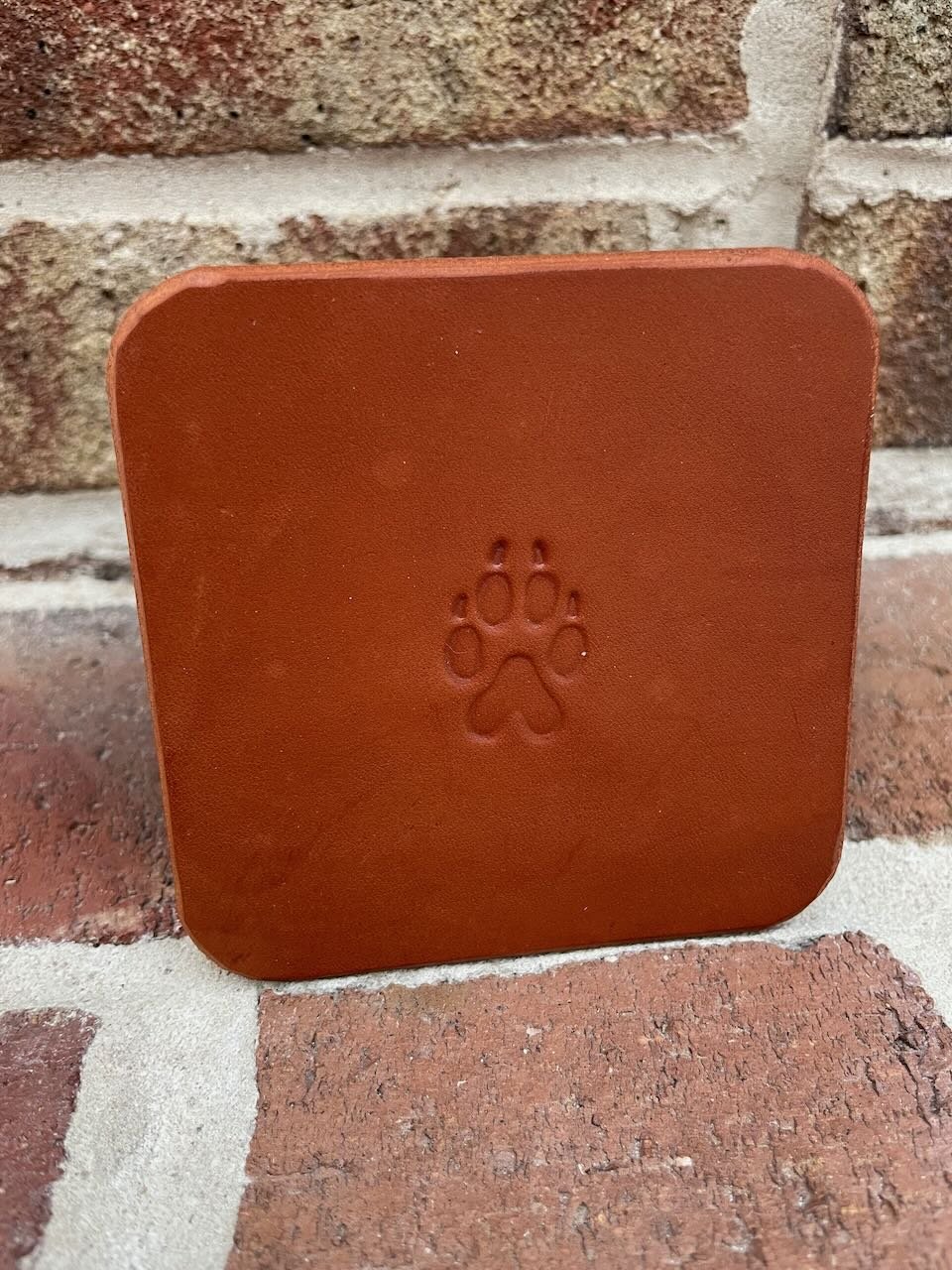 Leather Coaster variants - 1.jpeg