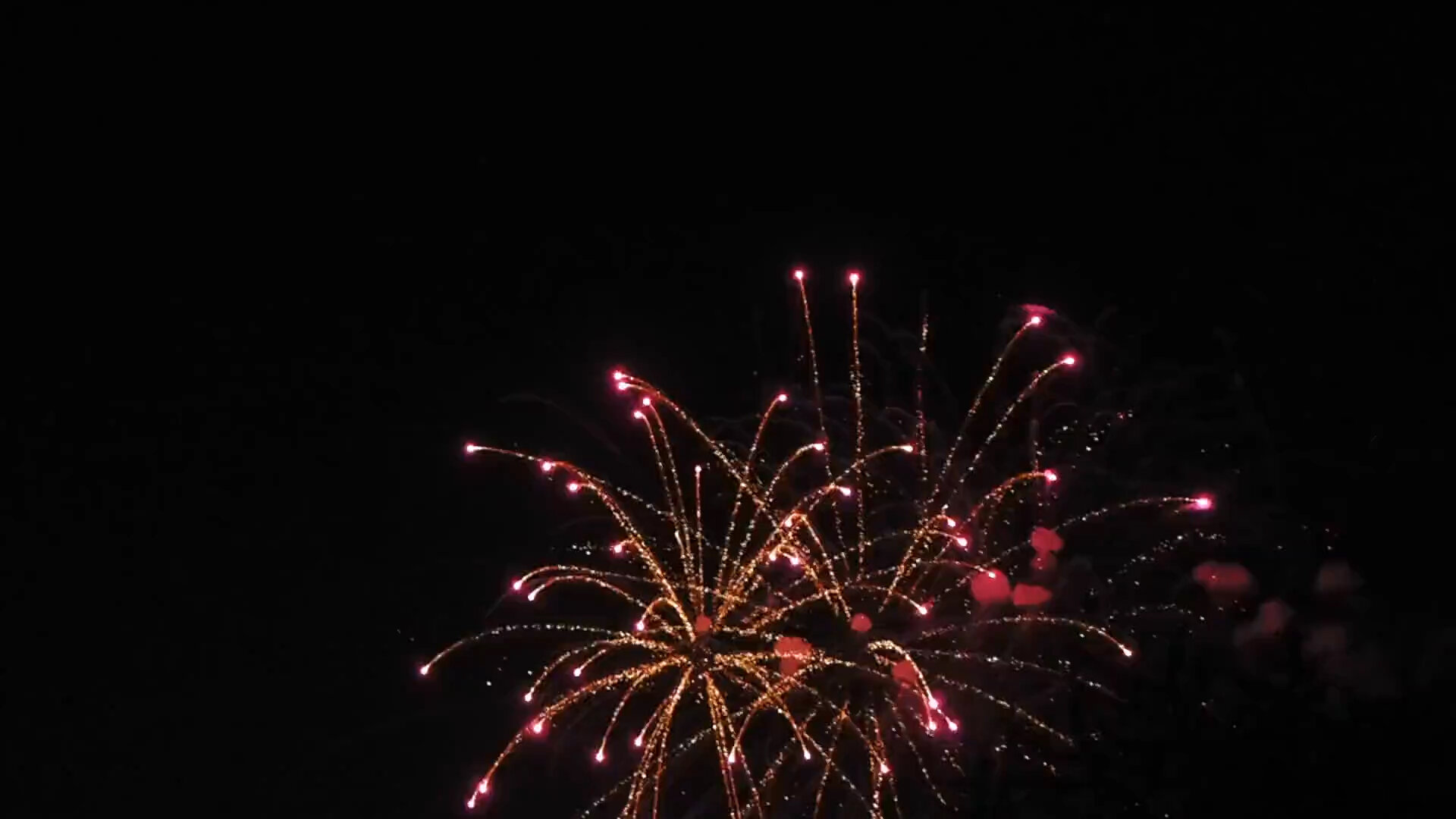 fireworks.jpg