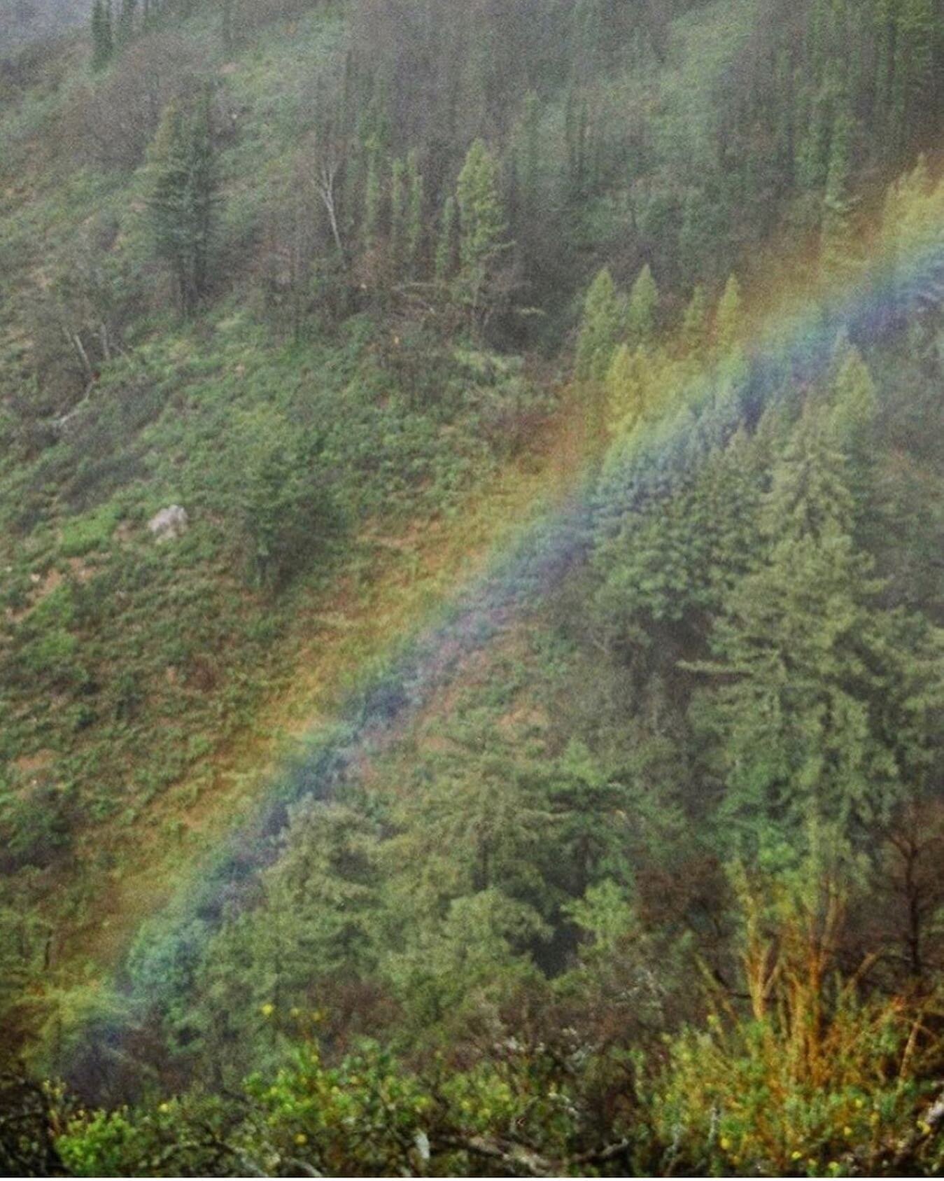 If you want to use food as medicine, the simplest tip to follow is eat the rainbow. Here's why: the color of the plant signals different beneficial compounds within it, with each color group representing naturally protective healing substances. When 