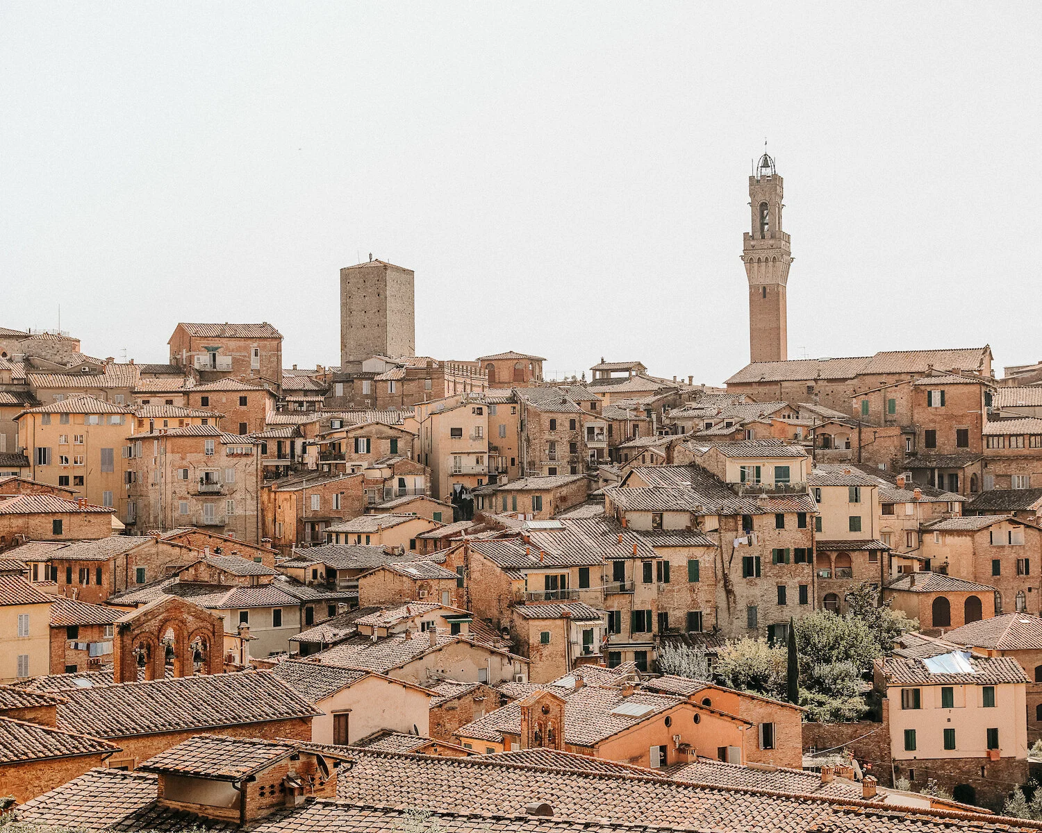 Siena_8x10.jpg