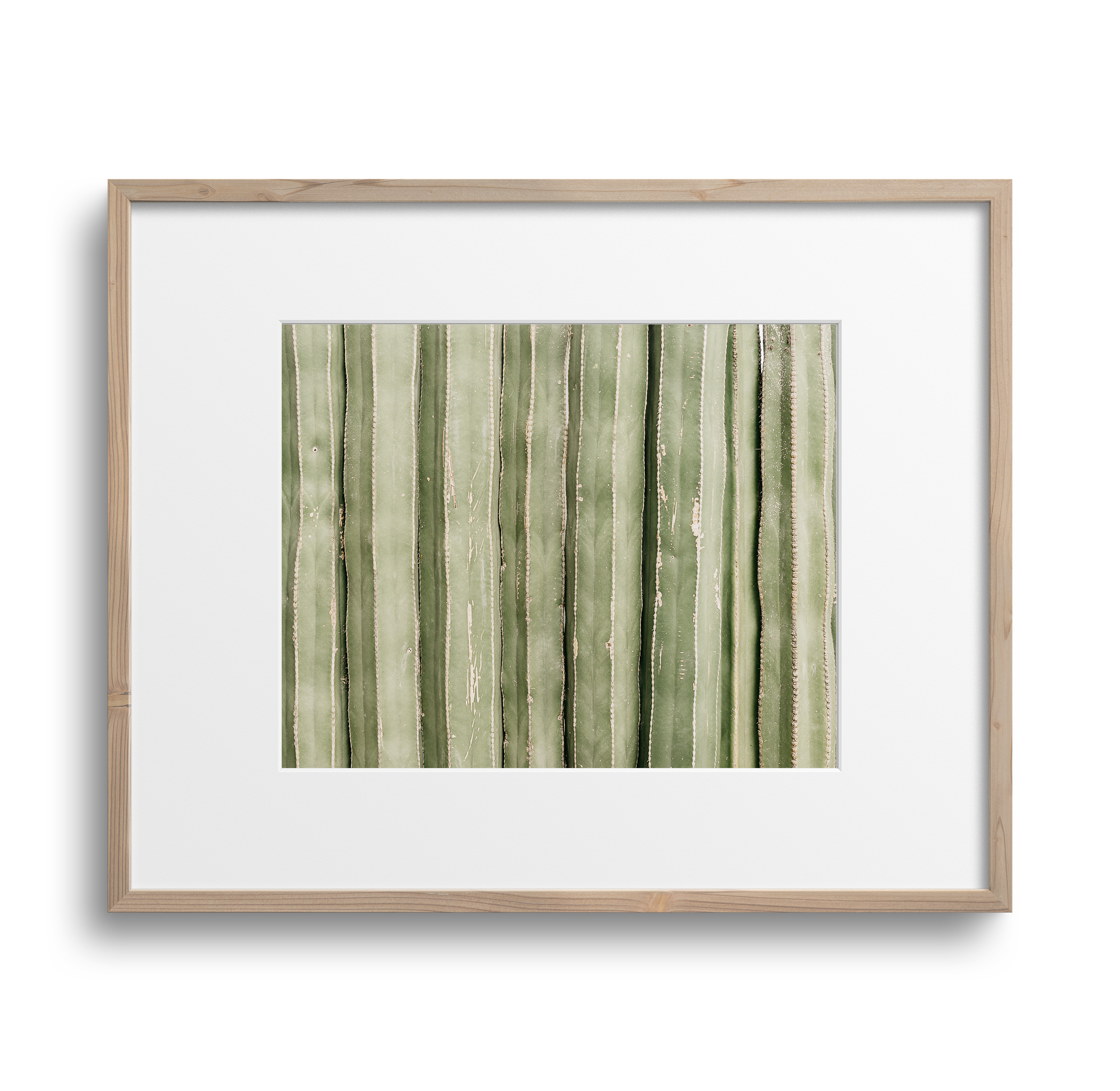 Cactus2Oak.png