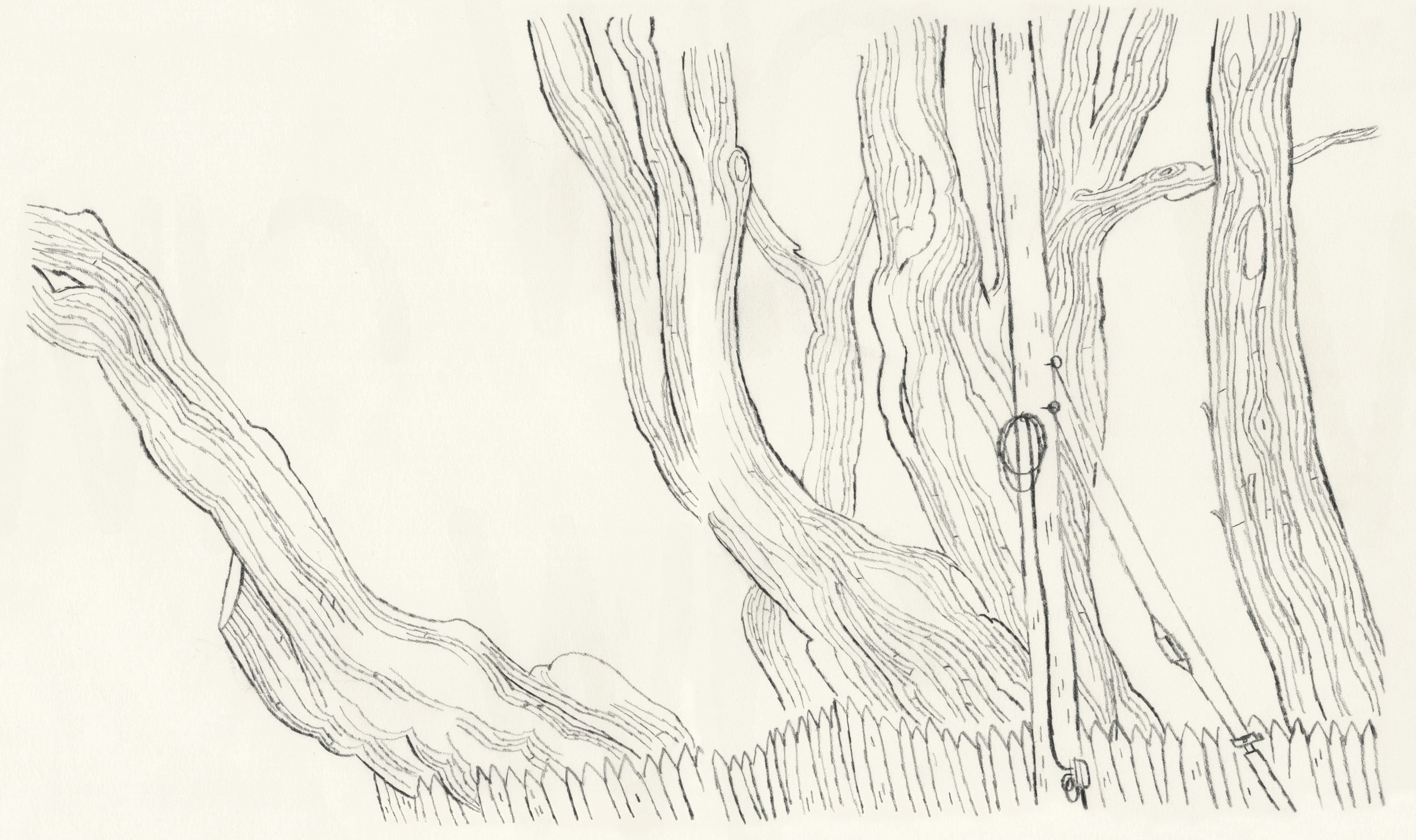 mis_observations_cover_12B.jpg
