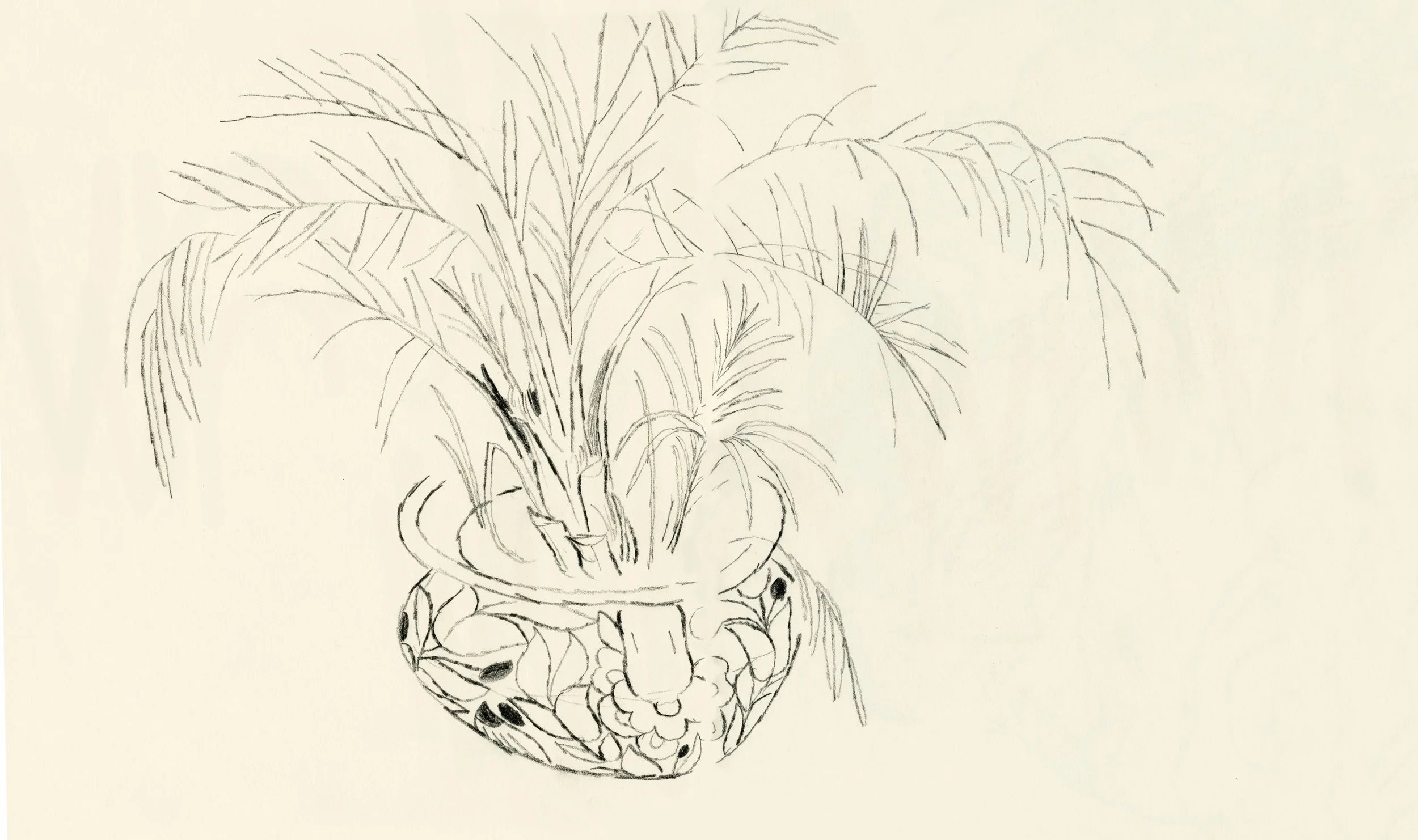pottedplants04.jpg