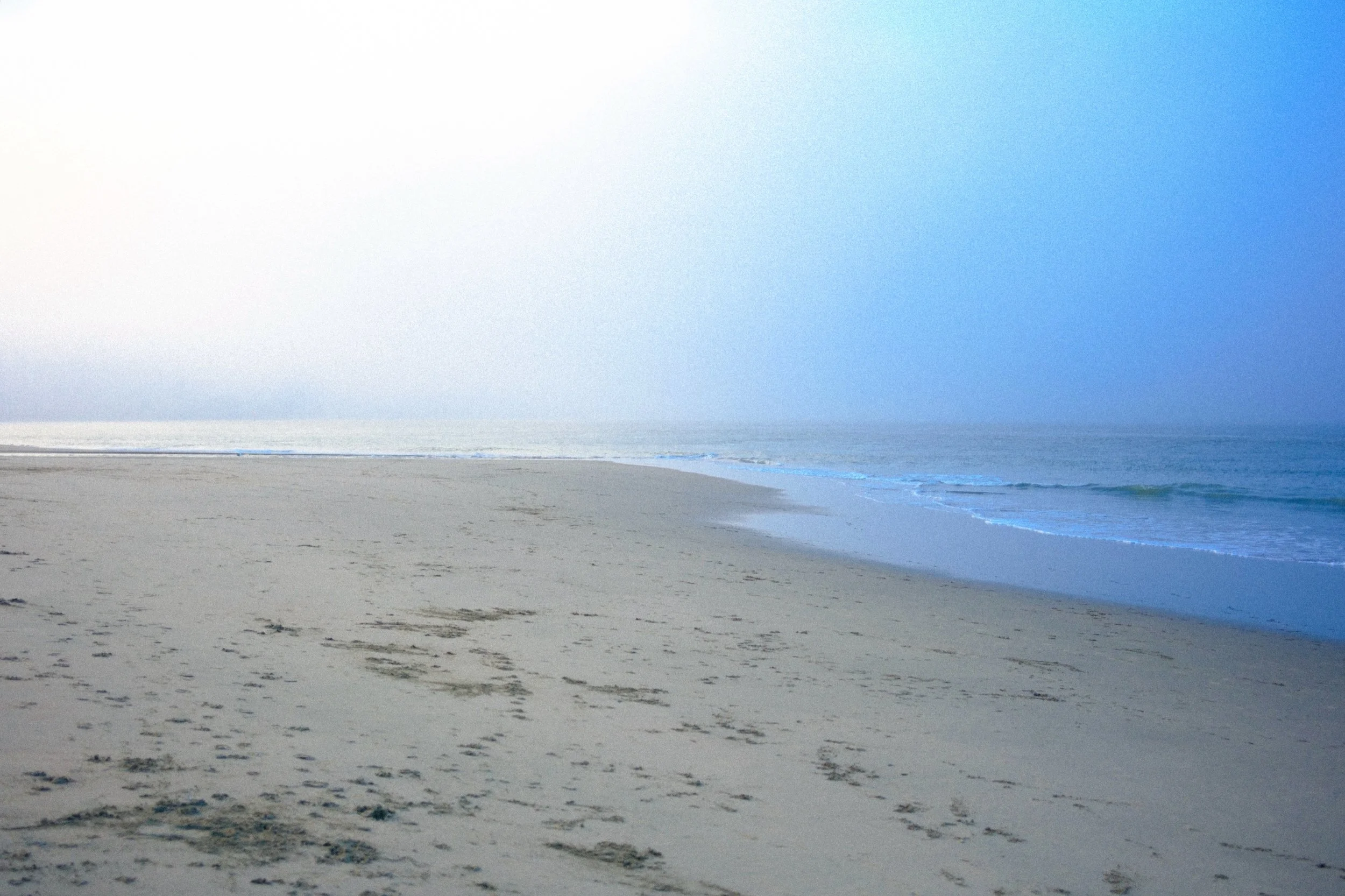 i enjoy empty, misty beaches

#beachphotography #sanfrancisco #landscape #landscapephotography #beachview