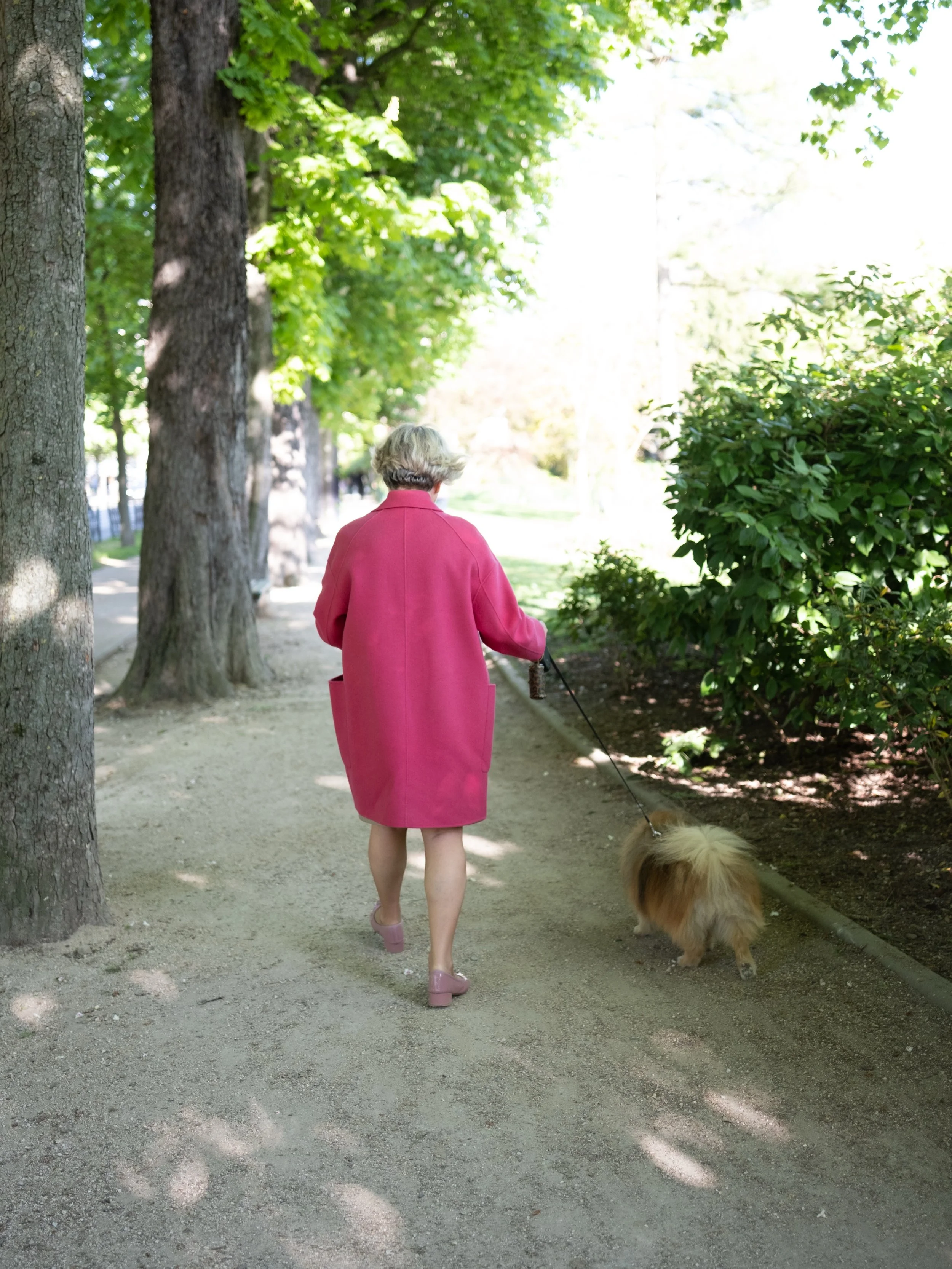 Pomeranians and pink pops of color in Paris 🩷🍃🐾

#travelphotography #pomeranian #parisfashion #paris #bayareaphotographer