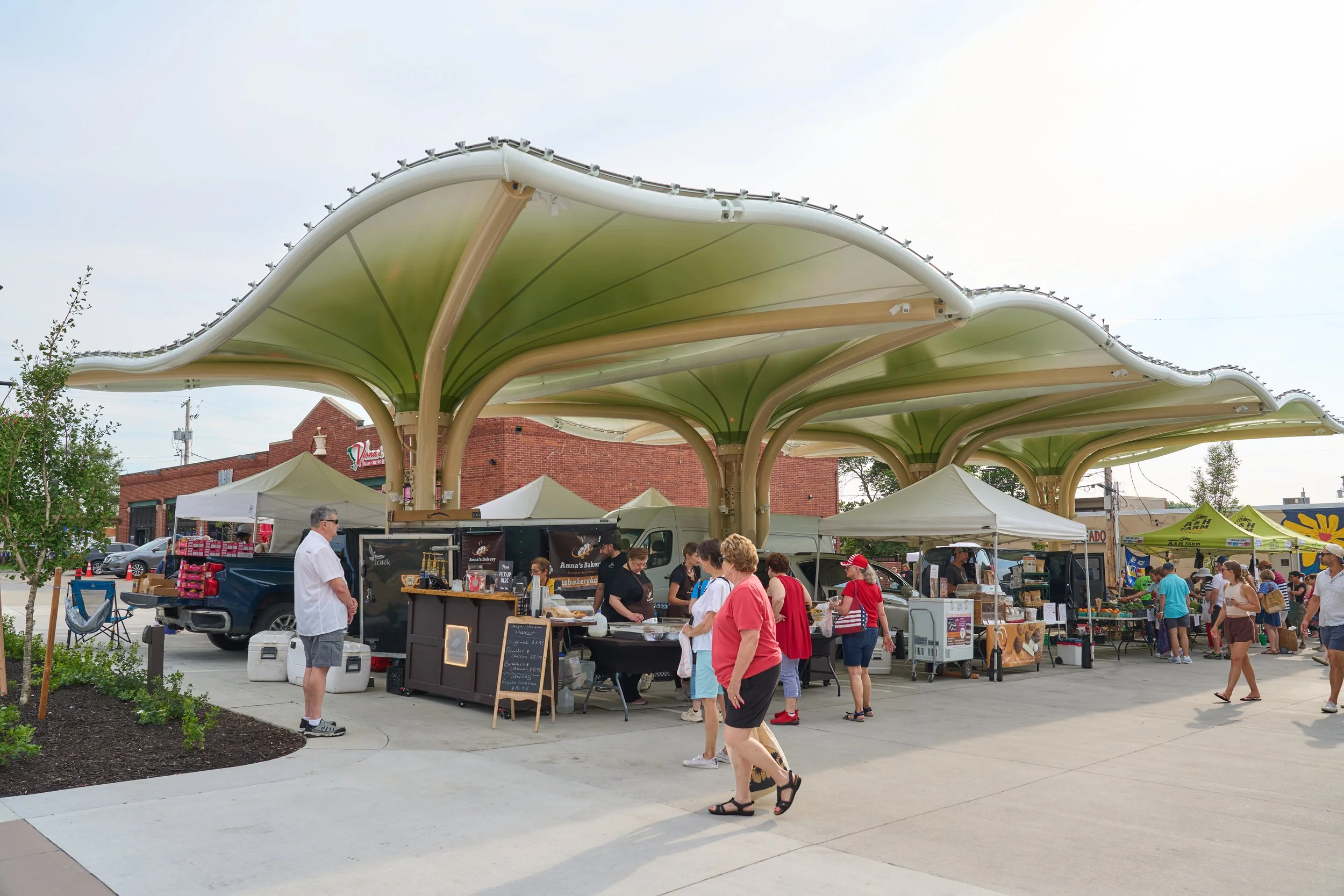 DSC08582.jpg