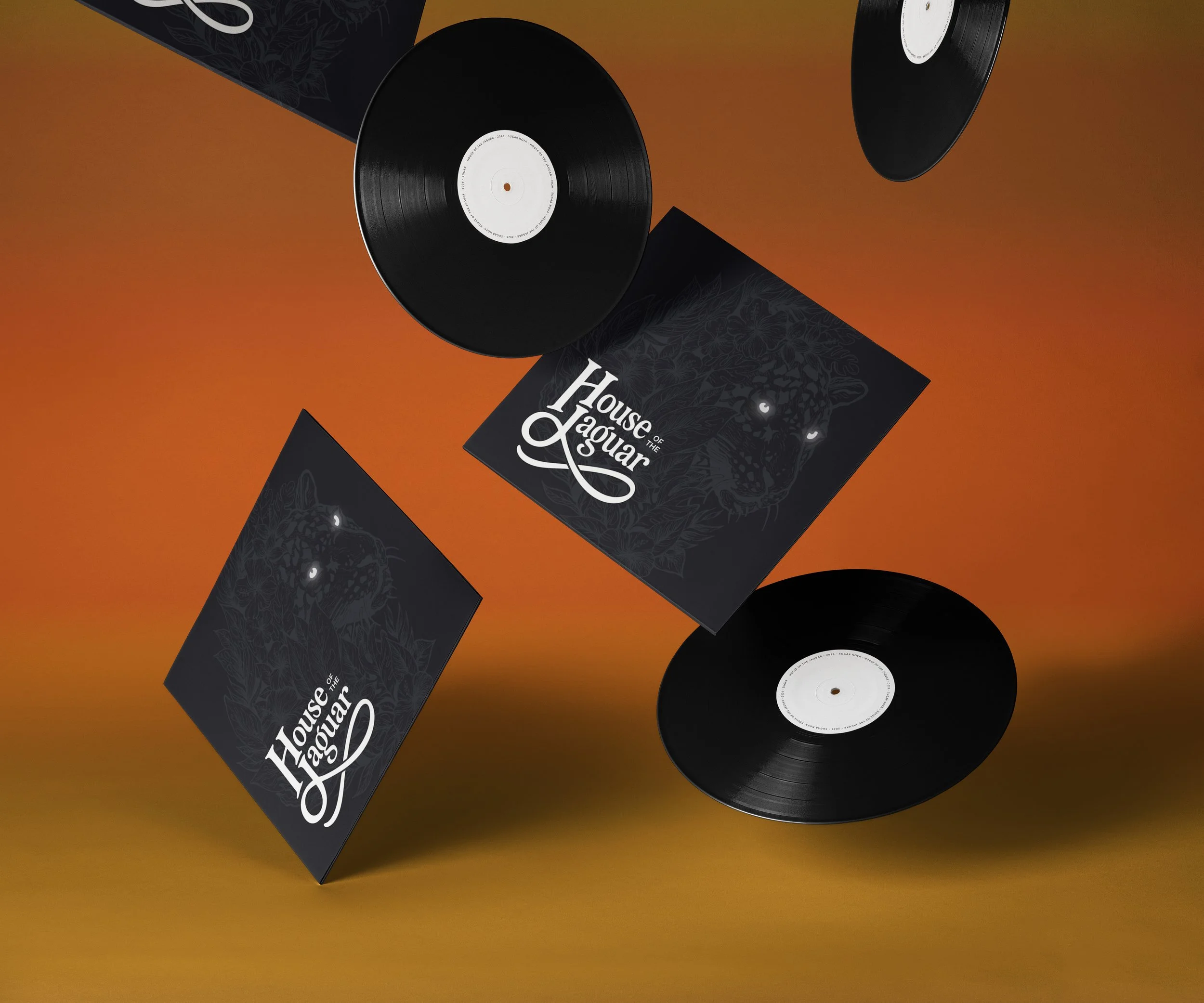 Falling-Vinyl-Record-Disc-Mockup.jpg