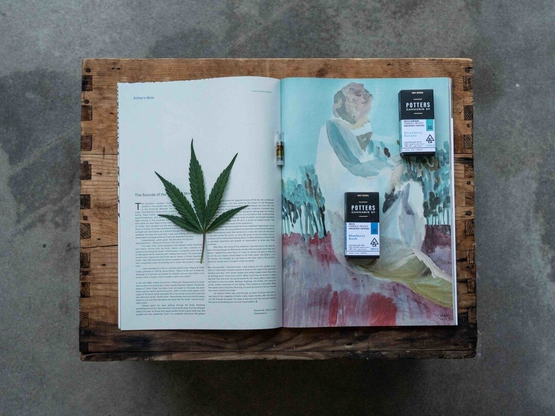 // packaging design meets editorial layout &ndash; with the help of brotha ben @whathaveyoubenupto⠀⠀⠀⠀⠀⠀⠀⠀⠀
.⠀⠀⠀⠀⠀⠀⠀⠀⠀
.⠀⠀⠀⠀⠀⠀⠀⠀⠀
.⠀⠀⠀⠀⠀⠀⠀⠀⠀
.⠀⠀⠀⠀⠀⠀⠀⠀⠀
.⠀⠀⠀⠀⠀⠀⠀⠀⠀
#cannabisdesign #cannabis #weed #420friendly #sakustudio #thedieline #dieline #packagin