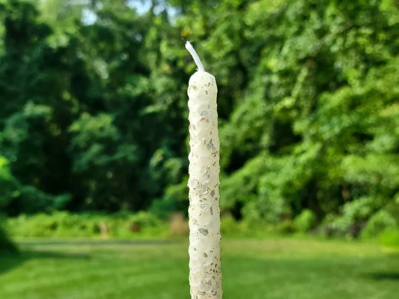 1000055830.jpg