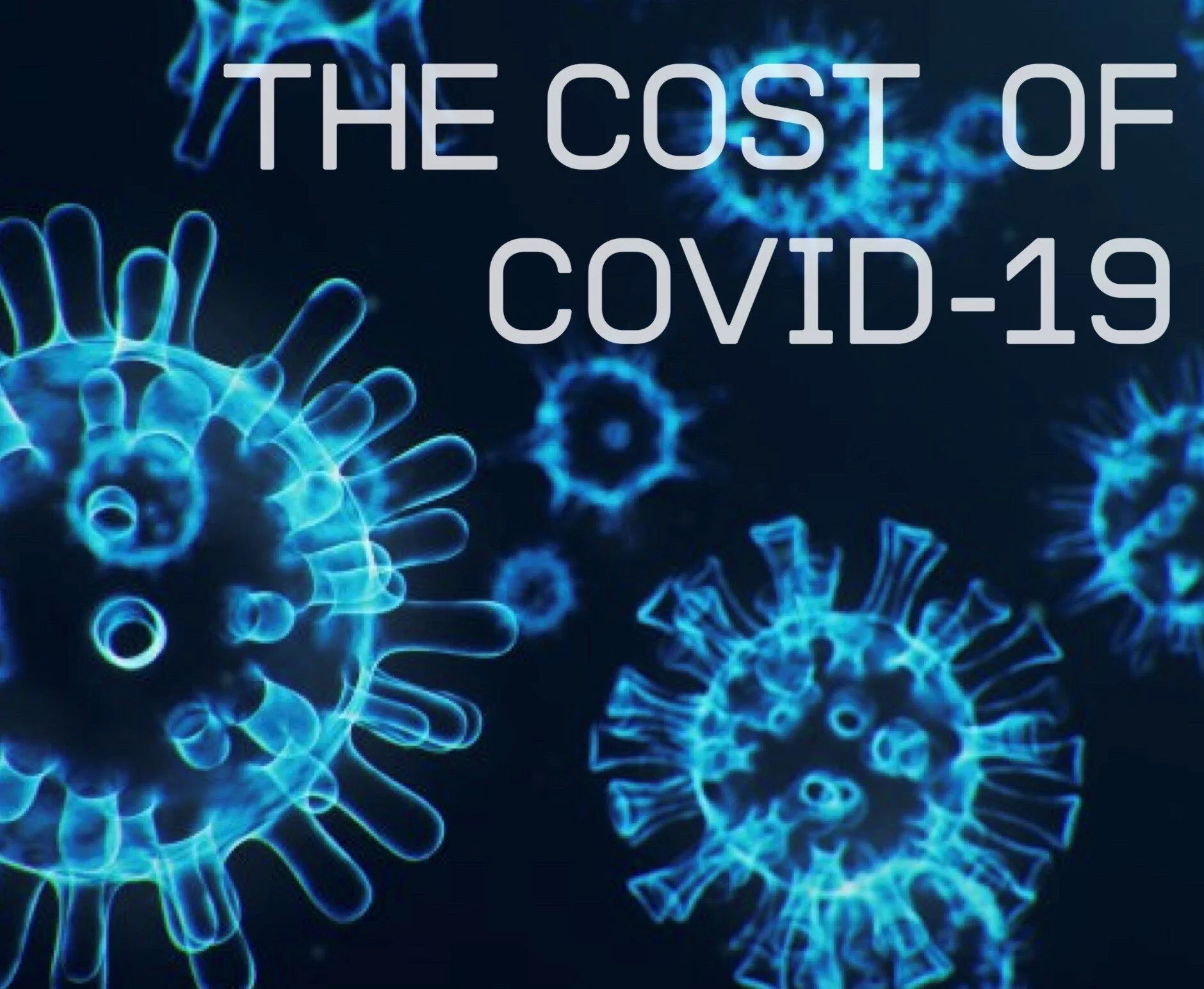 THE CATASTROPHIC COST OF COVID-19