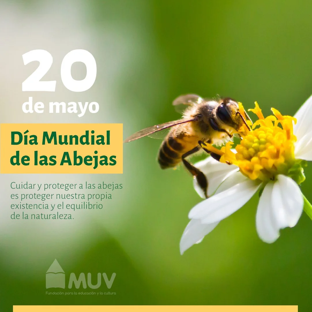 &quot;Las abejas son guardianas incansables de nuestro ecosistema, polinizando flores y cultivando la diversidad vegetal que sustenta la vida en nuestro planeta. Su labor incansable es vital para la producci&oacute;n de alimentos y la preservaci&oacu