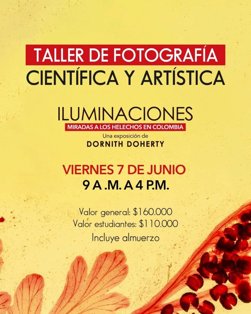 Gracias al apoyo de @comfama @fundacionmuv  se llevar&aacute; a cabo el TALLER DE FOTOGRAF&Iacute;A CIENT&Iacute;FICA Y ART&Iacute;STICA: Miradas a los #HelechosDeColombia 

📌 Este taller te&oacute;rico-pr&aacute;ctico est&aacute; dise&ntilde;ado pa