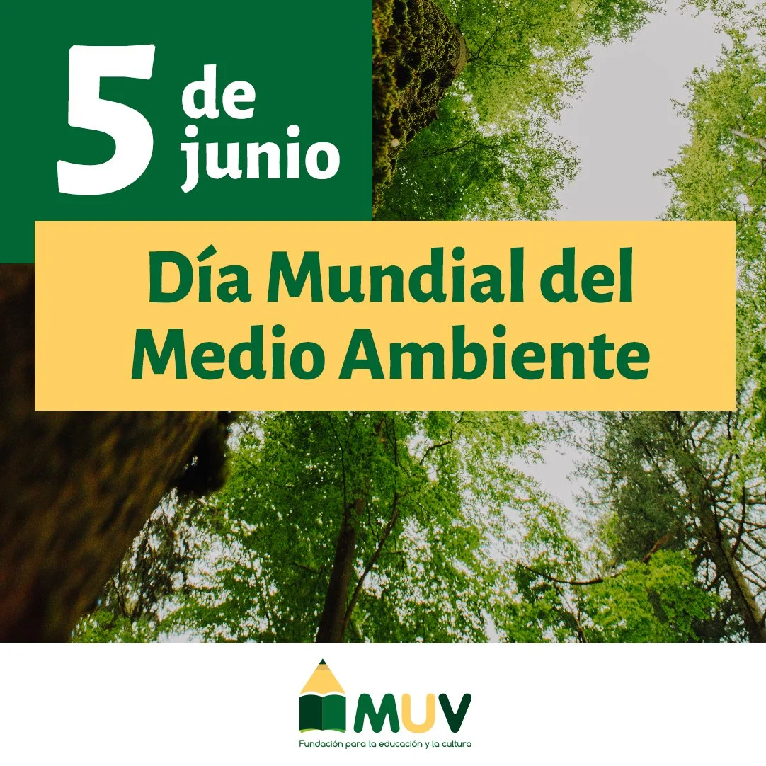 El medio ambiente es fundamental para la vida en la Tierra. Nos proporciona aire limpio, agua potable, alimentos, medicinas y muchos otros recursos vitales para nuestra supervivencia y bienestar. 

Todos tenemos un papel que desempe&ntilde;ar en la p