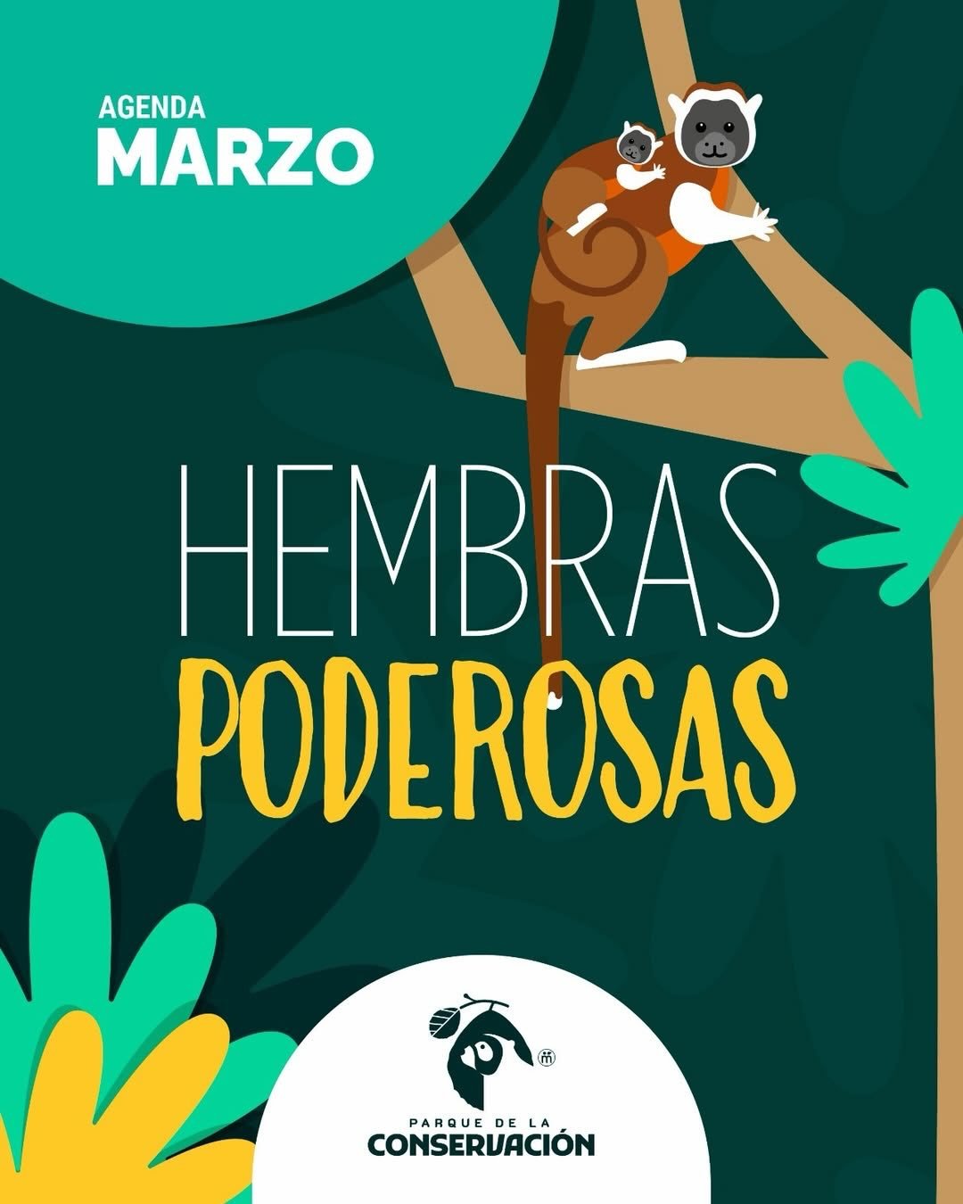 🐒🌳🌿 Progr&aacute;mate en marzo con nuestros amigos del @parquedelaconservacion

Este mes llega con una agenda pensada para disfrutar, aprender y compartir momentos inolvidables. ✨

Las actividades son gratuitas; solo debes pagar el valor de ingres