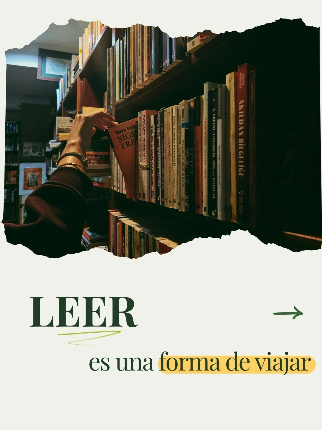 Leer es desplazarse sin maleta.

Cada historia ampl&iacute;a el vocabulario, la empat&iacute;a y la imaginaci&oacute;n.
No se trata de cantidad de libros, sino de constancia y conversaci&oacute;n alrededor de lo le&iacute;do.

📌 Elige un libro este 