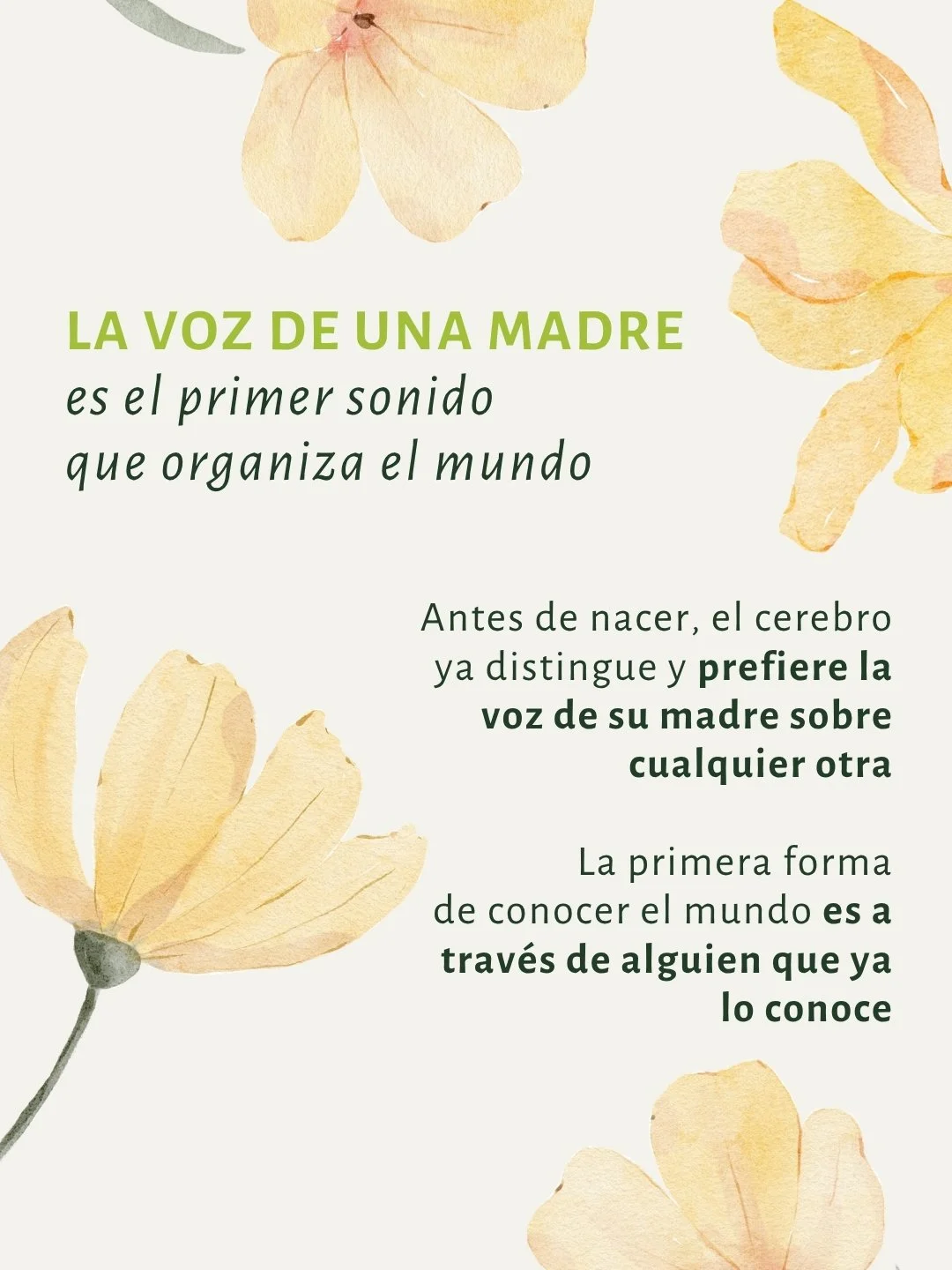 Eso tiene una explicaci&oacute;n cient&iacute;fica. El sistema auditivo del beb&eacute; madura antes que el resto de los sentidos, y la voz materna es el primer est&iacute;mulo que el cerebro aprende a reconocer como referencia.

Pero lo que las madr