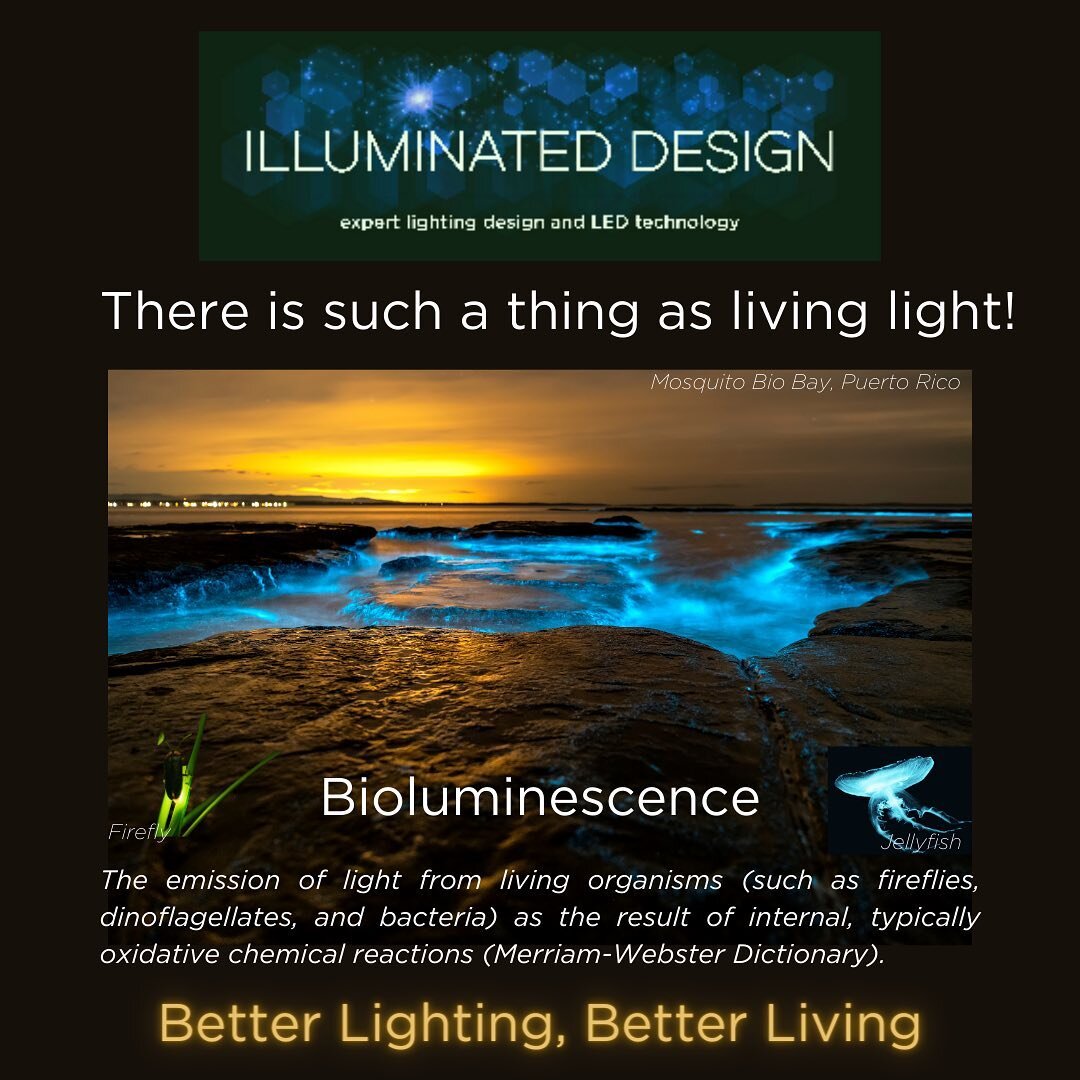 Did You Know? We all have an inner light (from a spiritual standpoint), but there are creatures AND places that actually can produce their own light! 
This phenomenon is called Bioluminescence, and it&rsquo;s usually caused by an oxidated chemical re