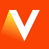 Vivacity Media Group logo